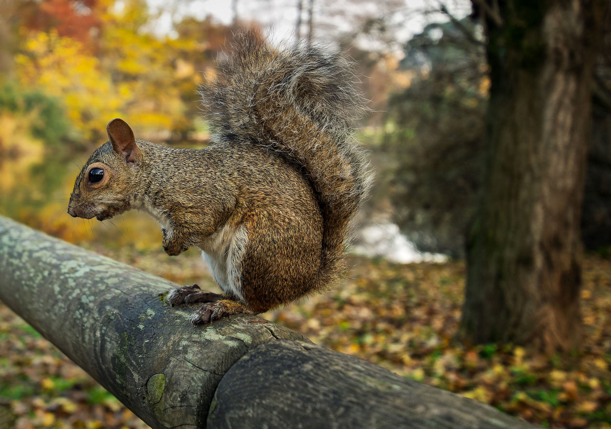 Parco Sempione, Milano