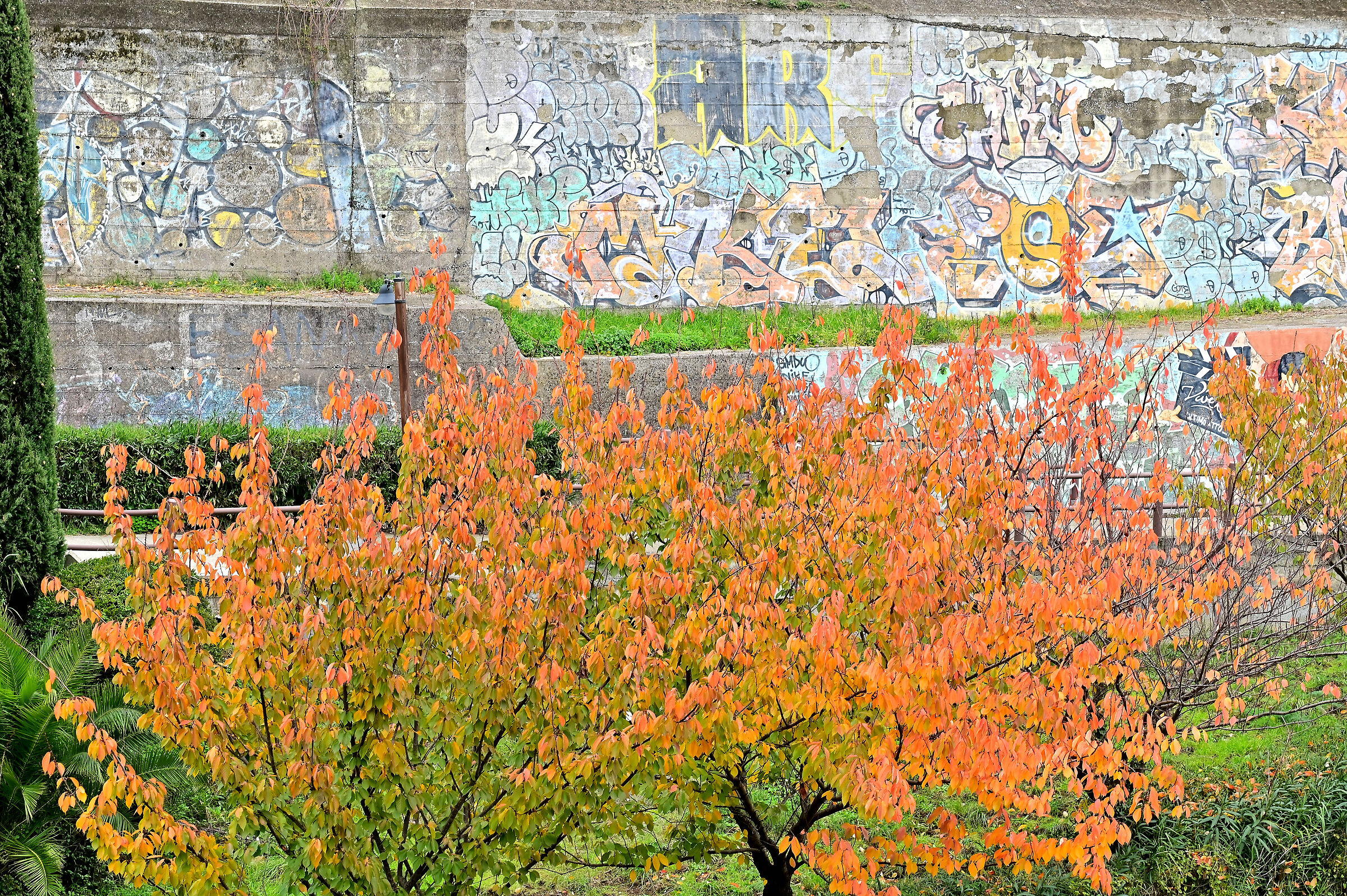 Colori naturali, colori artificiali purché colore sia...