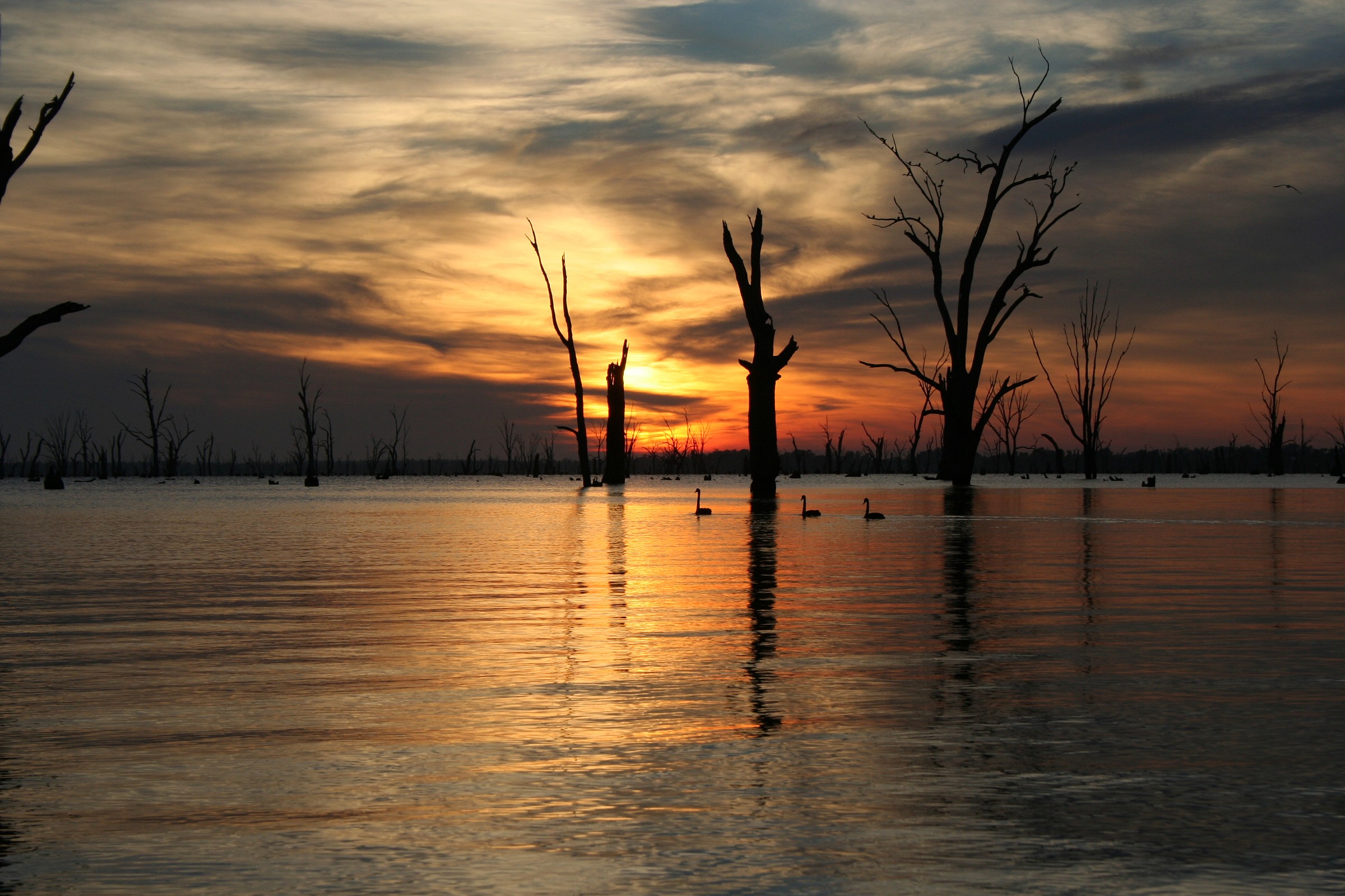 Sunrise in Yarrawonga