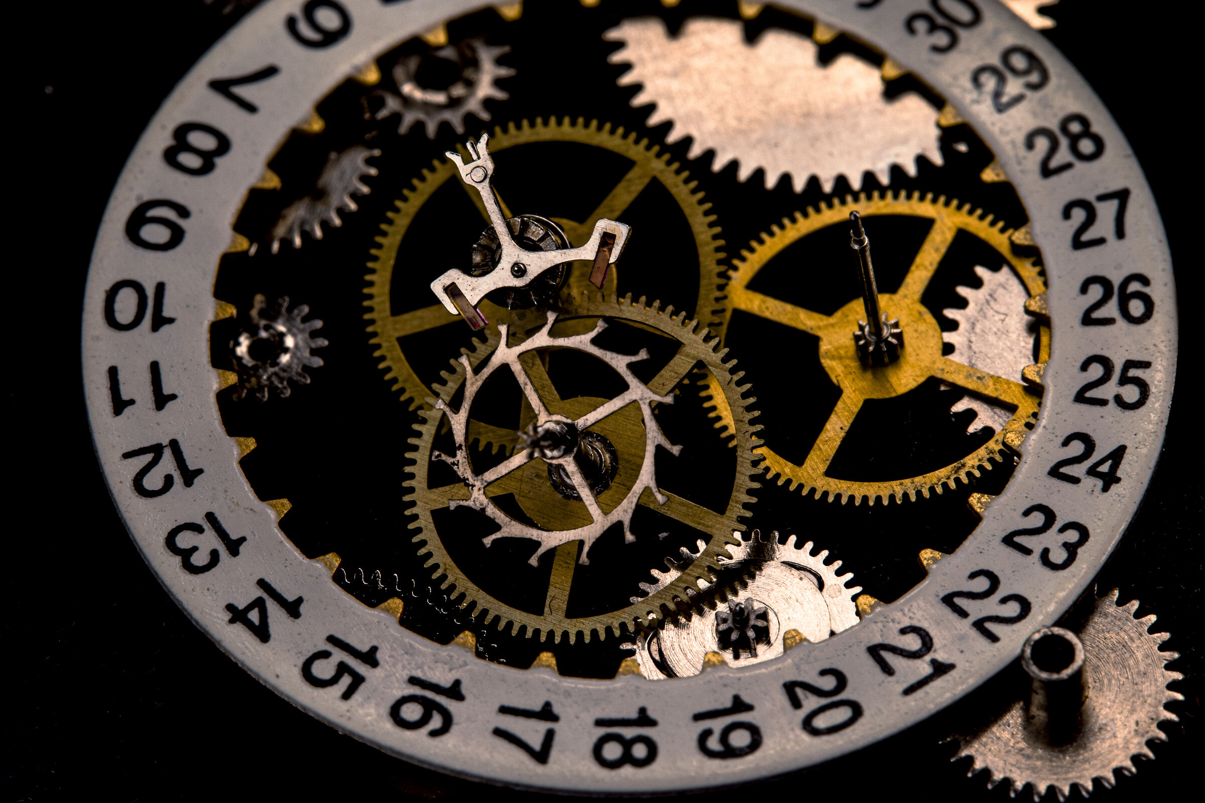 Among the gears of time