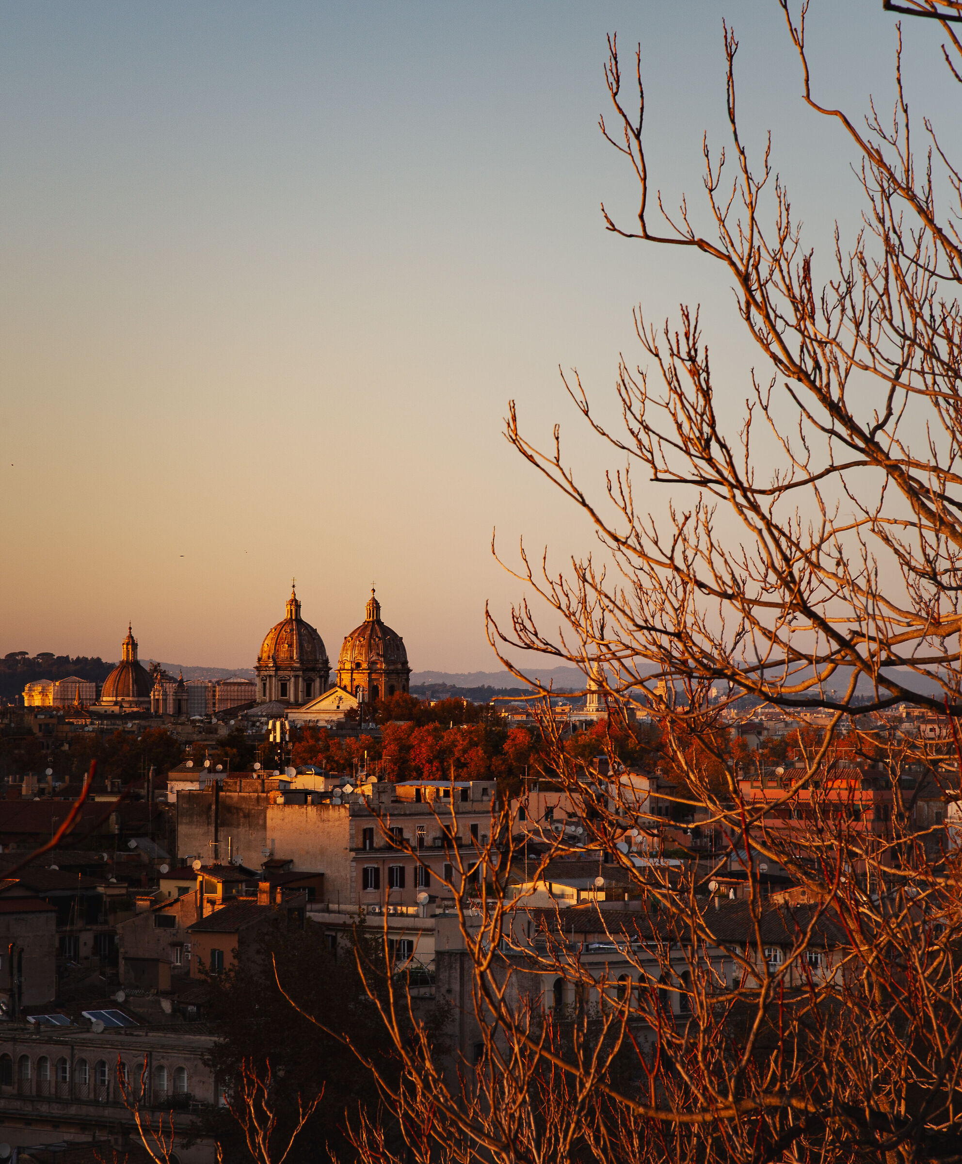 Giardino aranci panorama