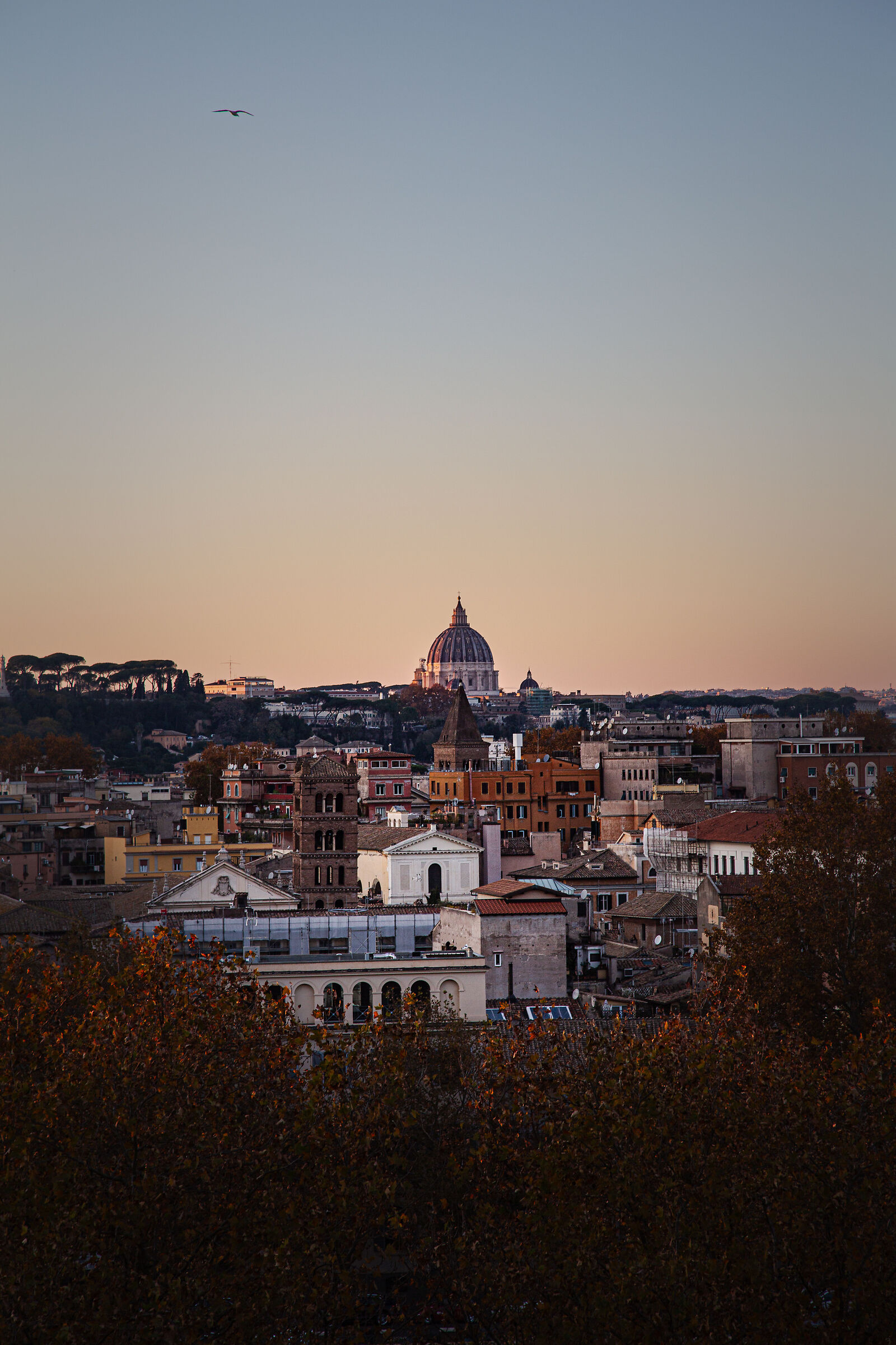 Giardino aranci panorama