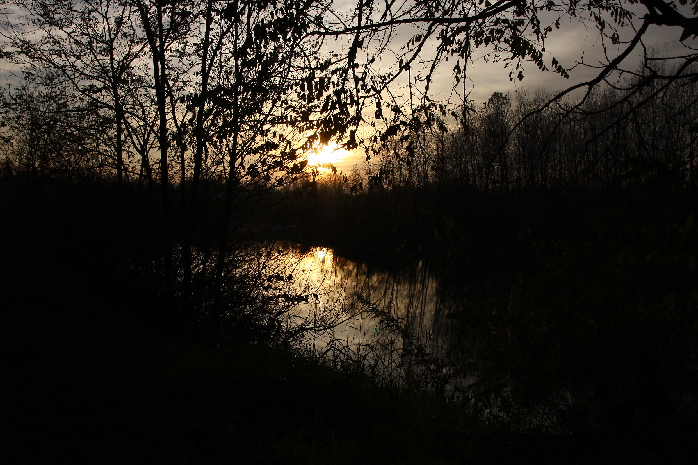 Evening