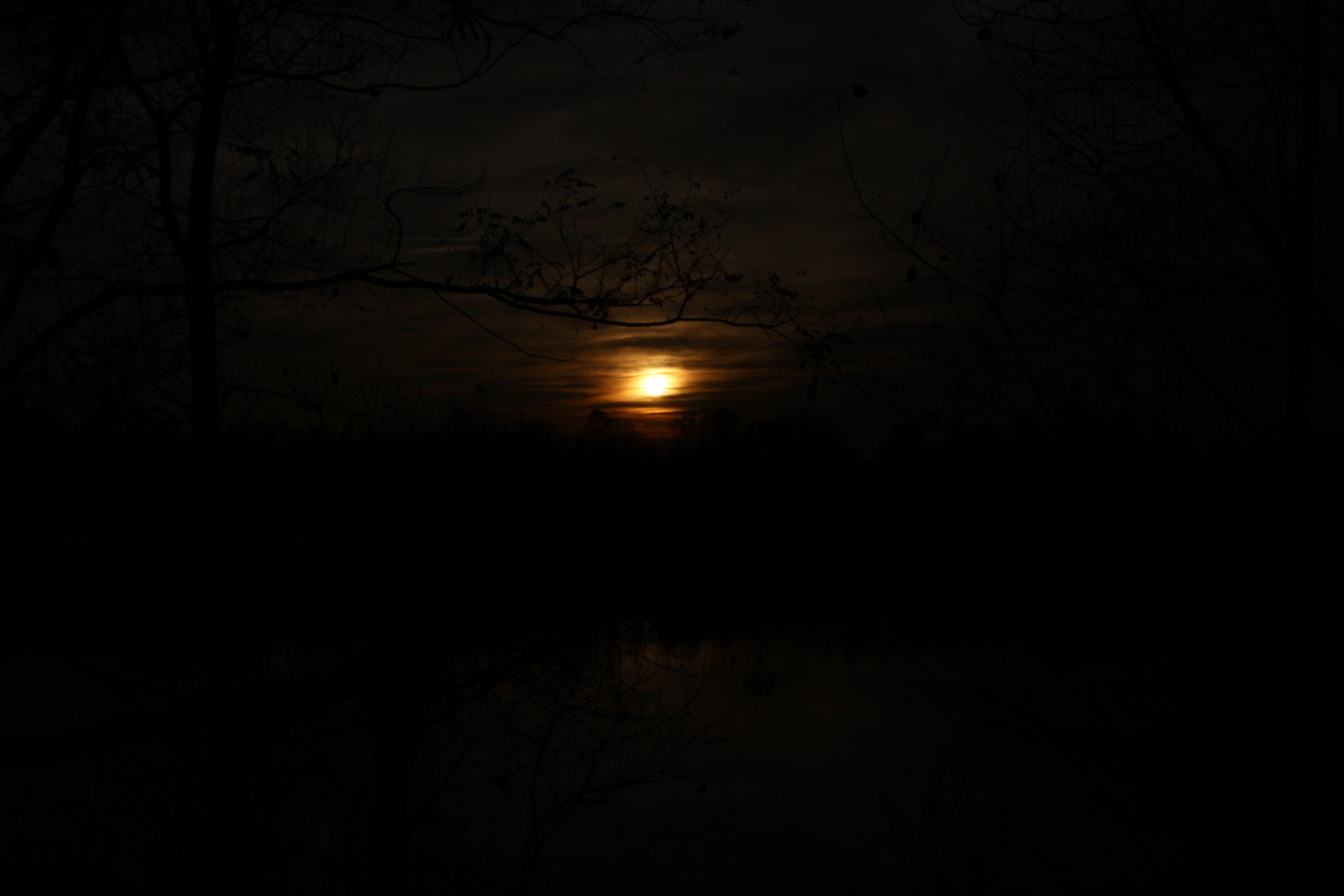 Evening 2