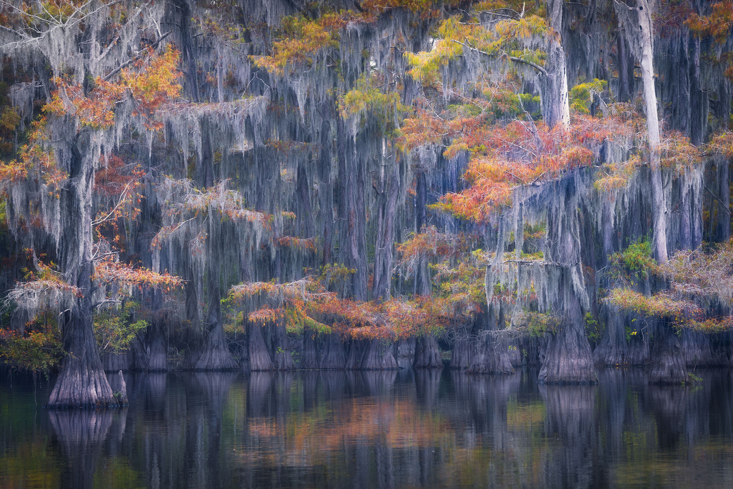 Caddo Lake