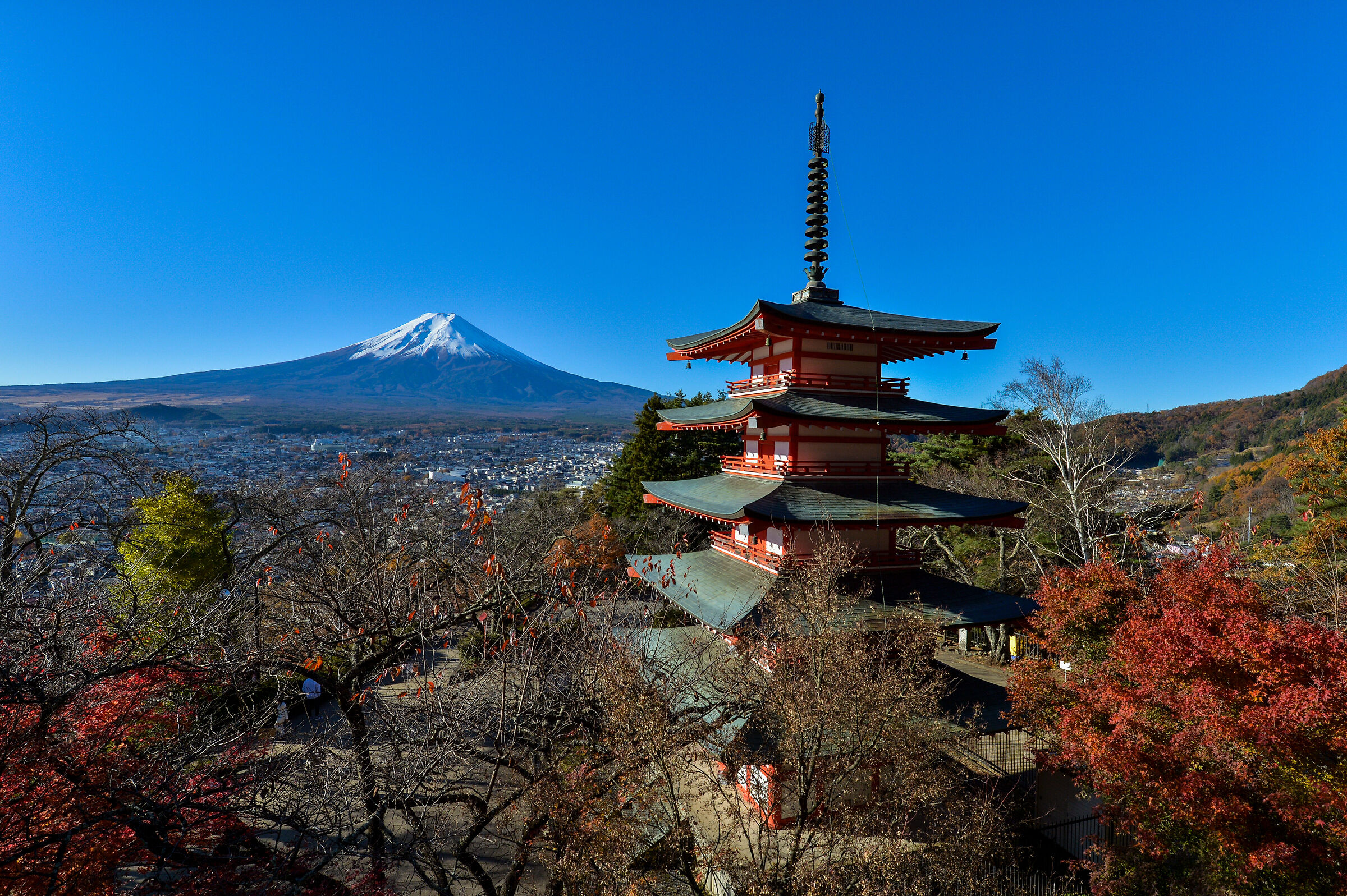 Monte Fuji dalla Pagoda Chureito