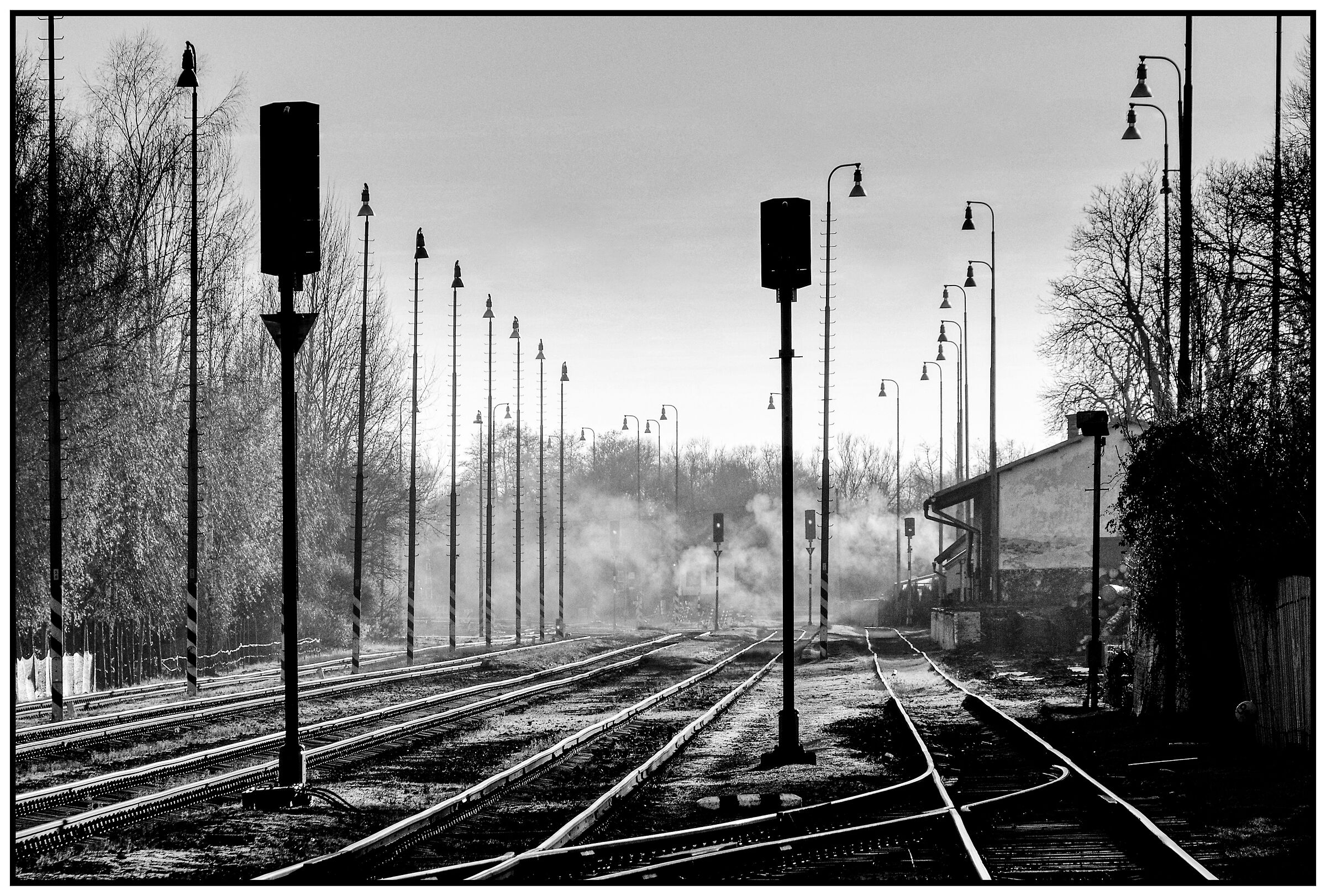 black and white