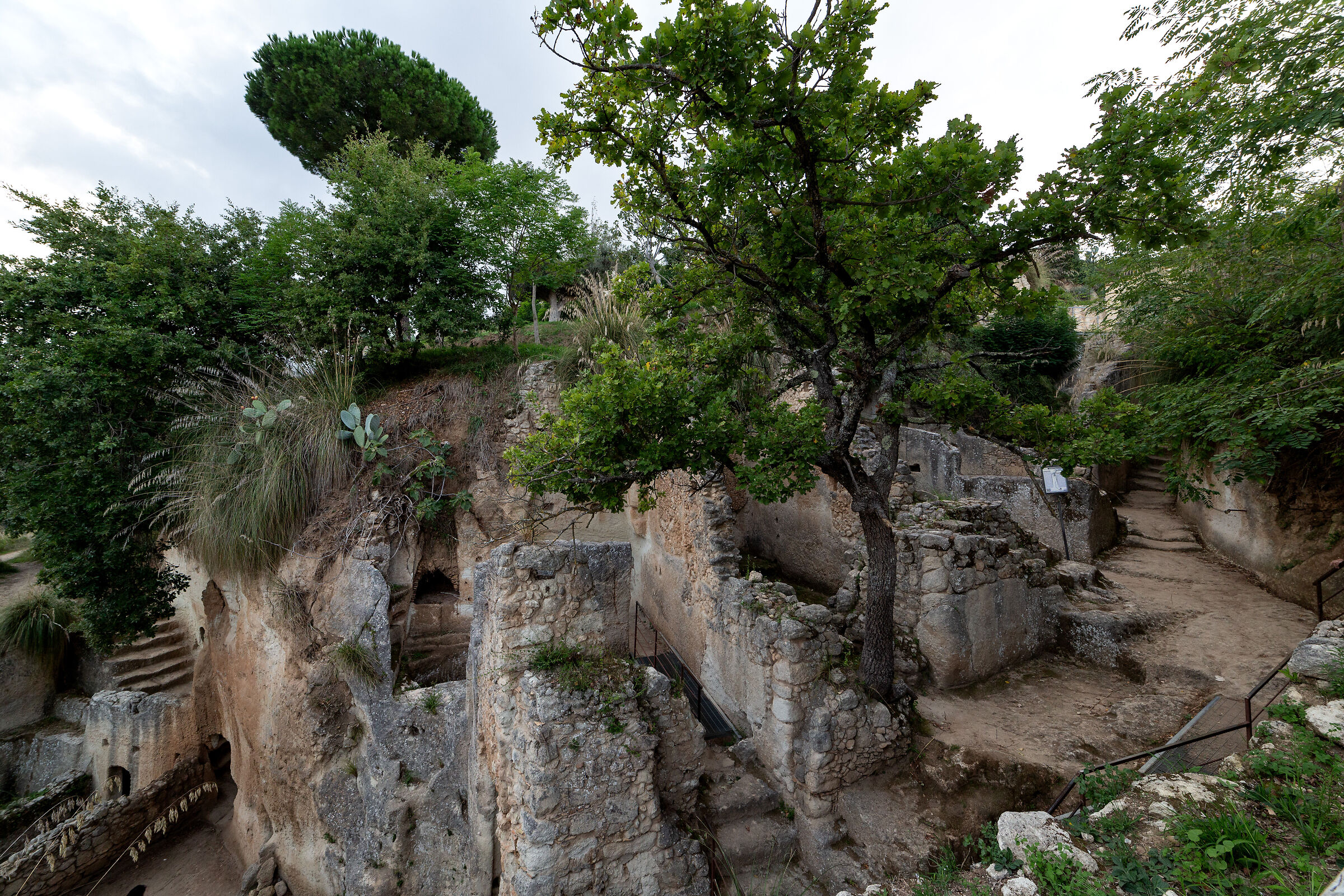 Zungri (VV) - The caves