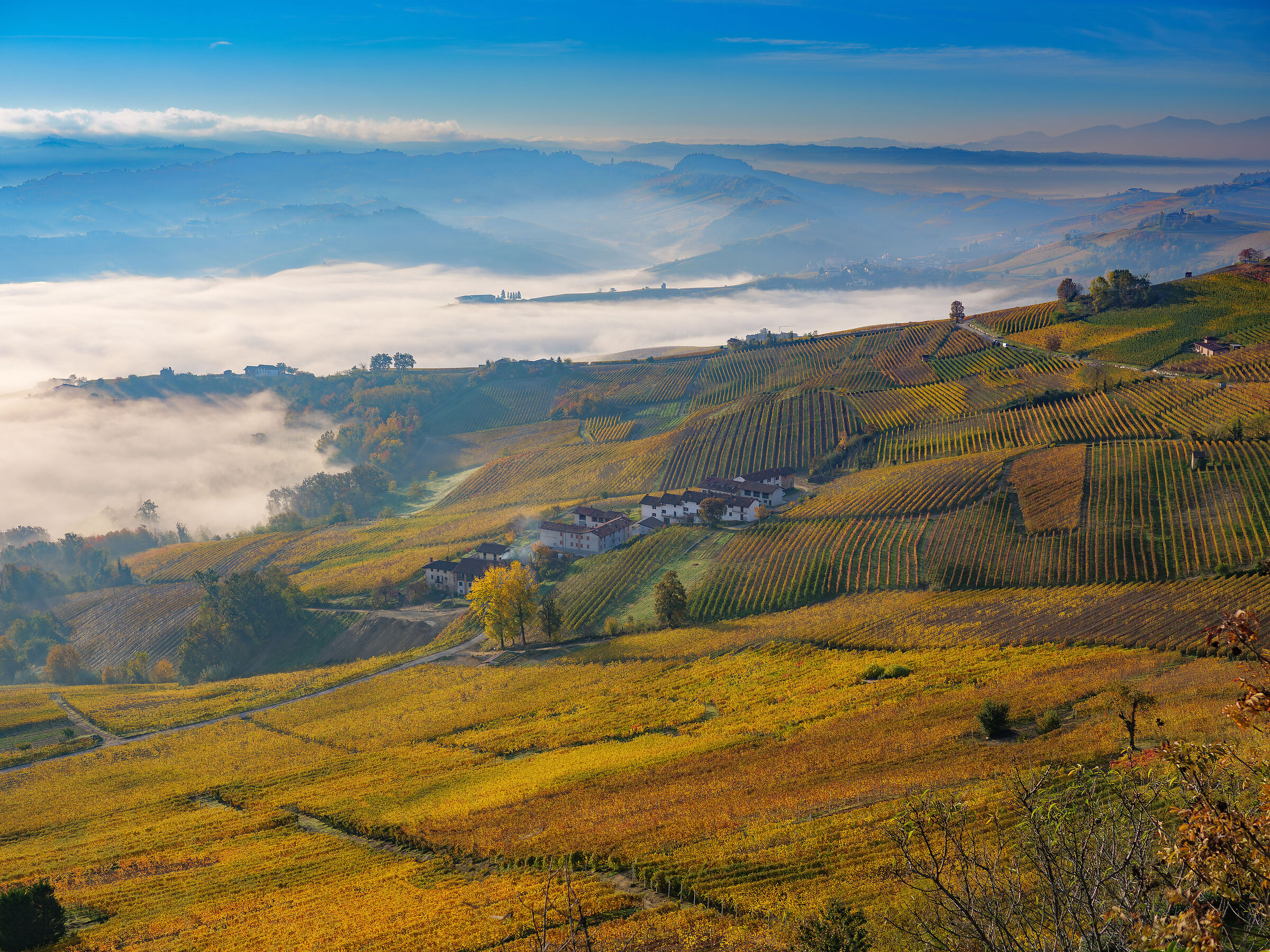 The Langhe.
