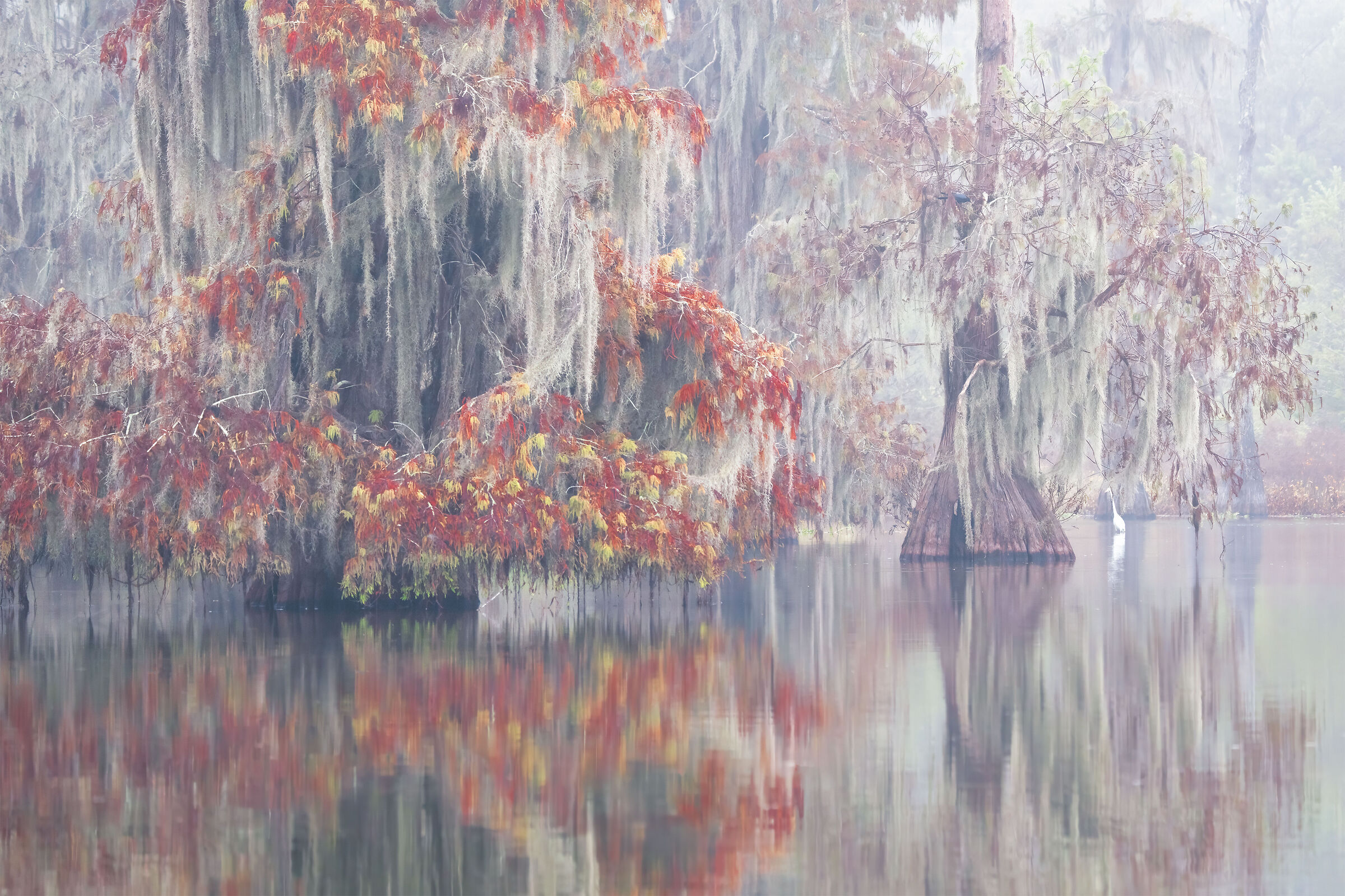 Atchafalaya Basin