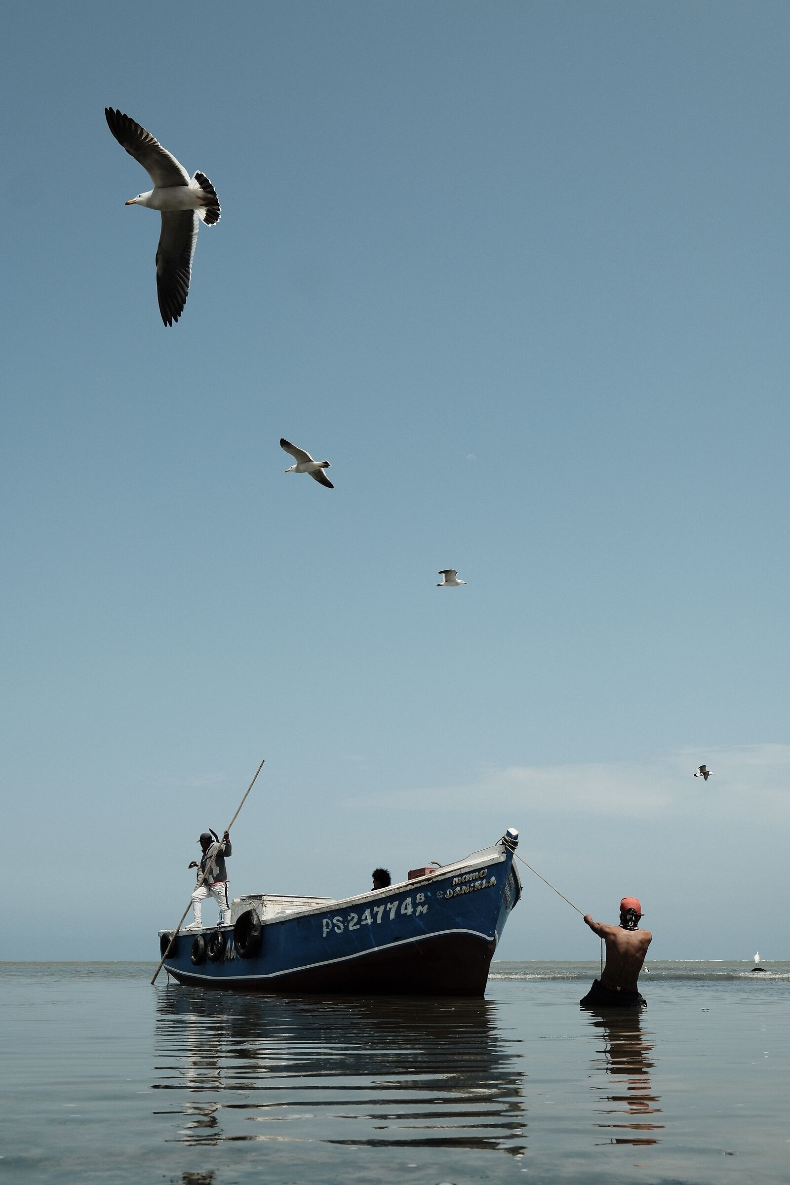 Pacific Fishermen
