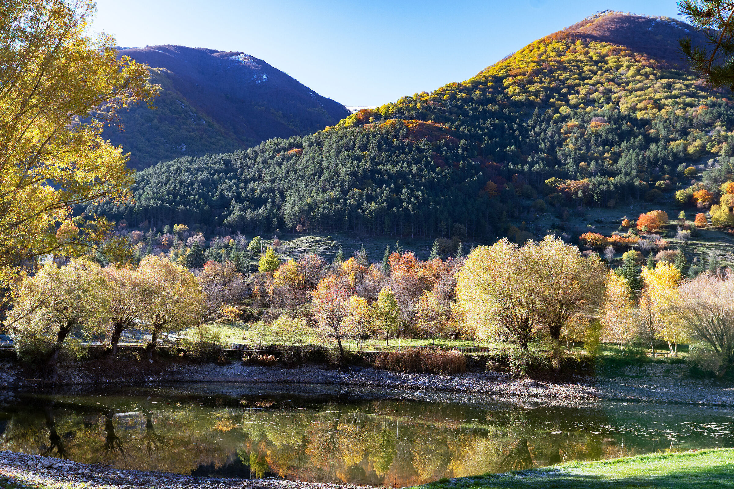 Last colors of Autumn