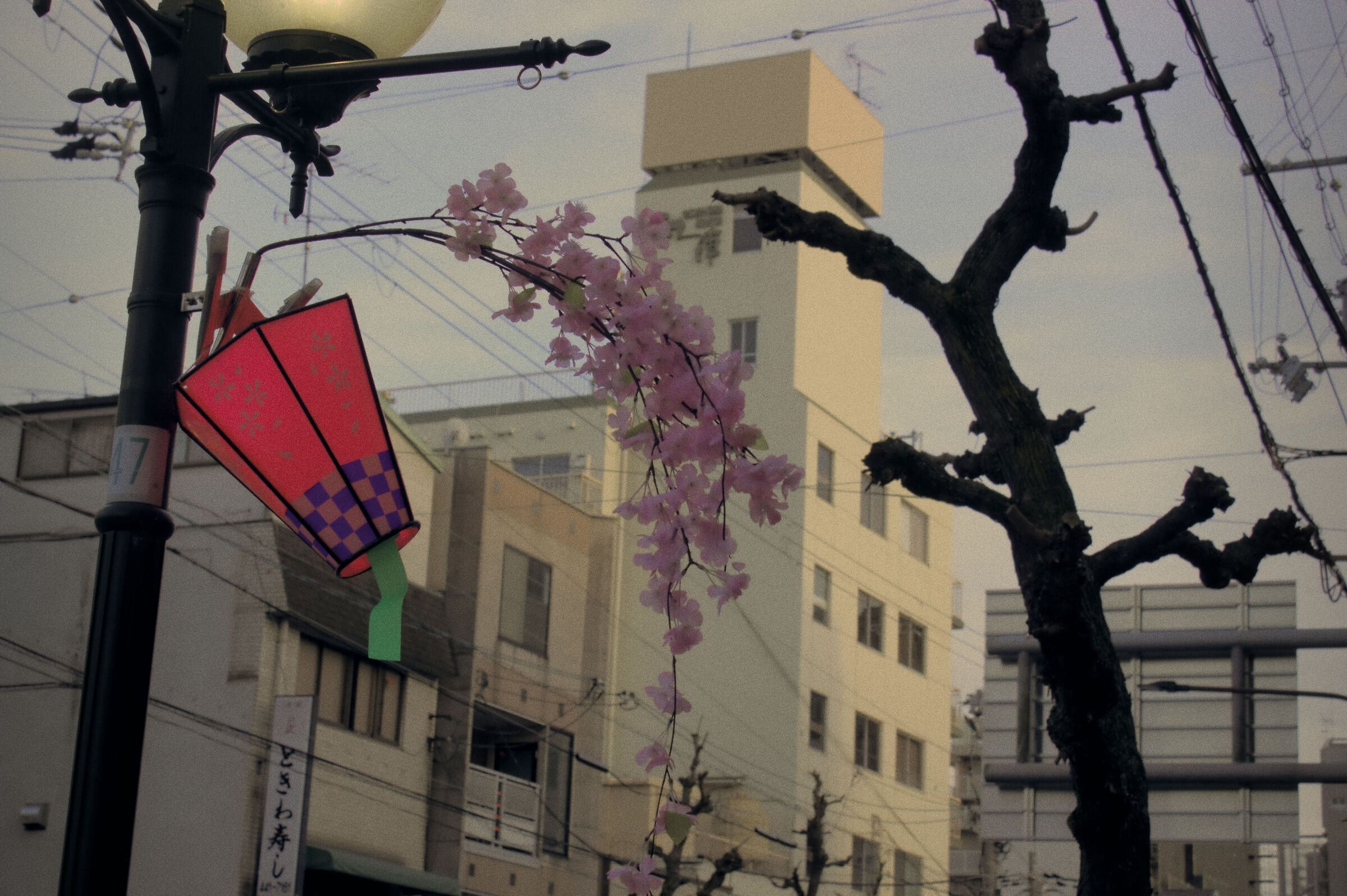 Postcard from Kyoto