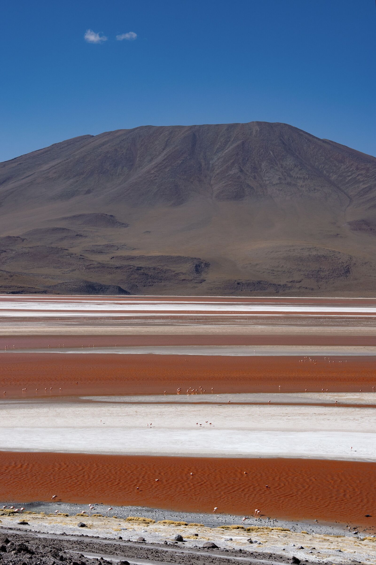 Laguna Colorada