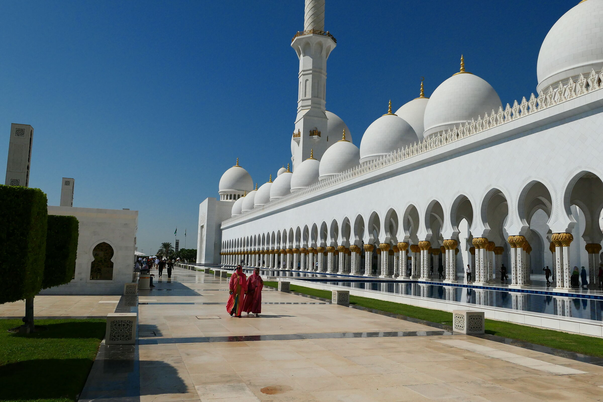 Moschea di Abu Dhabi