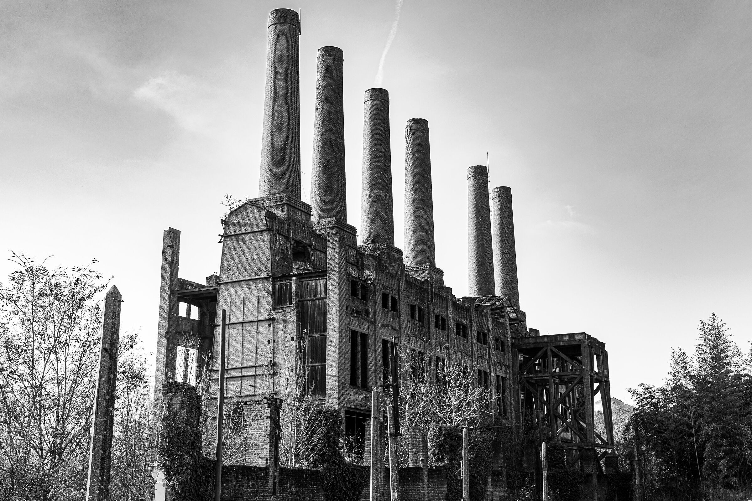 "The Factory"