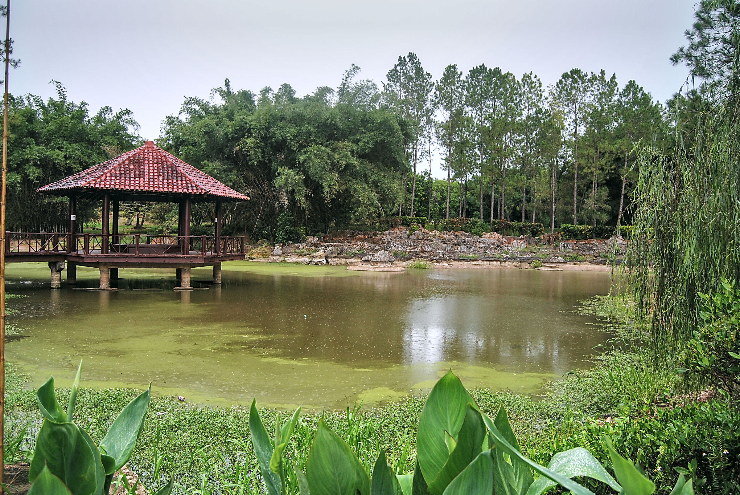 Botanical garden
