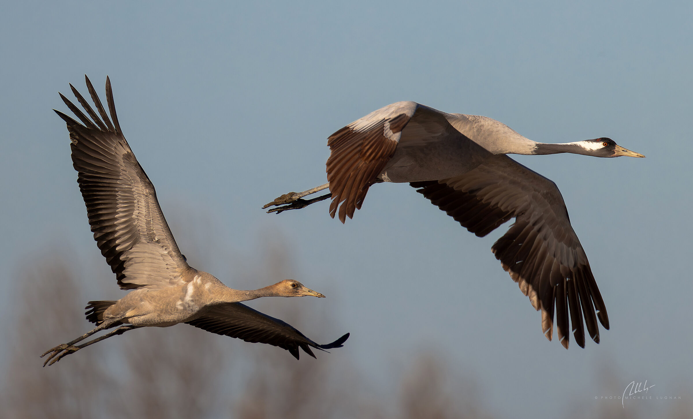 Learning to fly