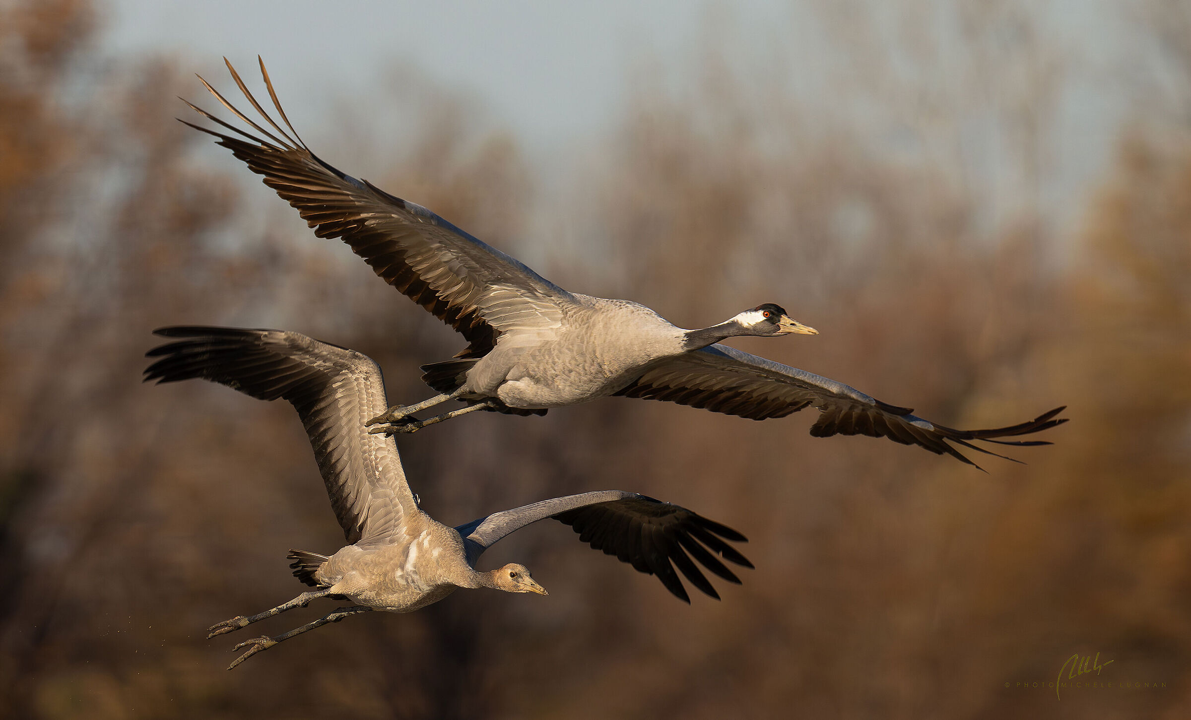 Flying lessons