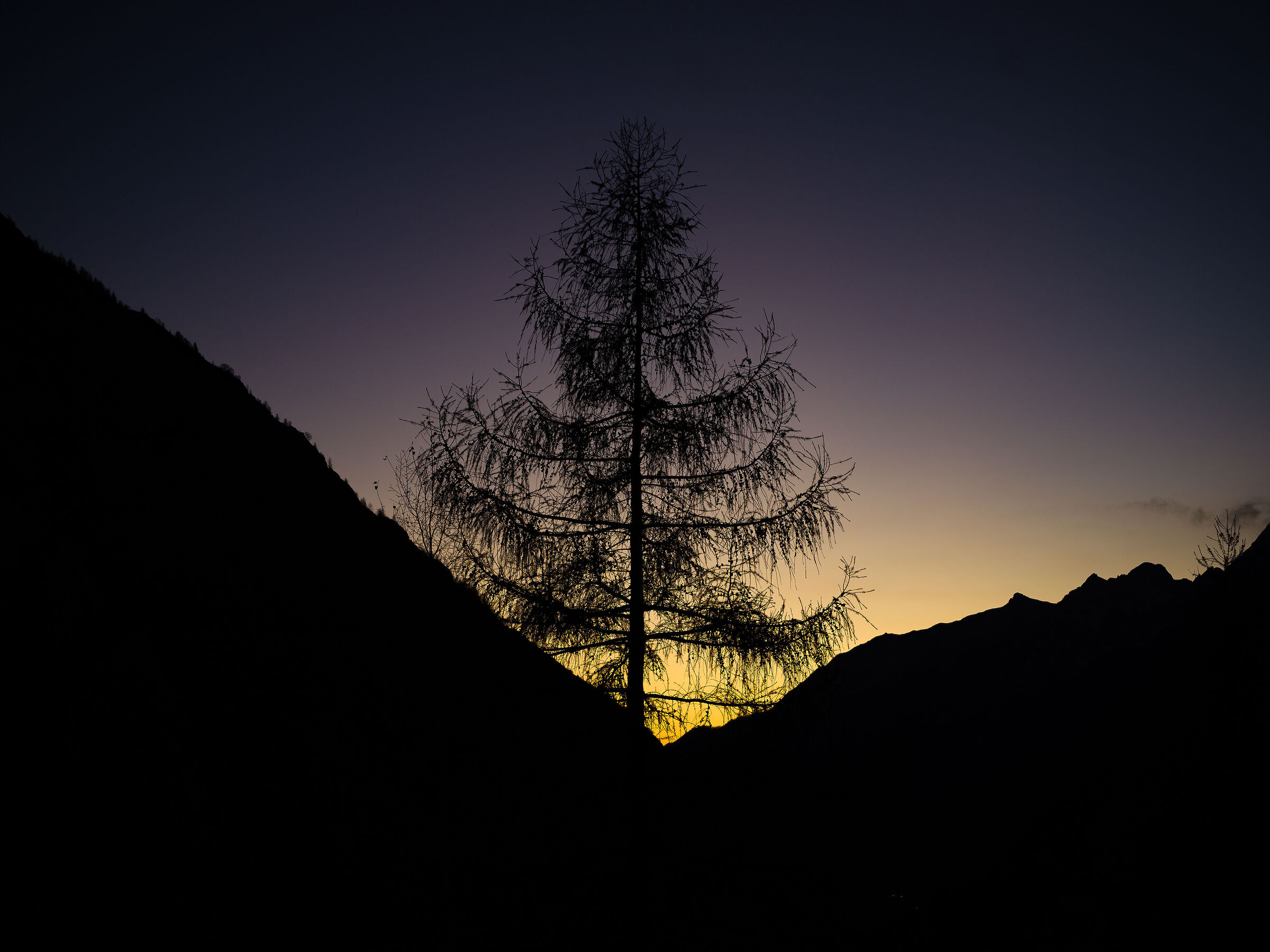 Parco Nazionale  Gran Paradiso - Piemonte