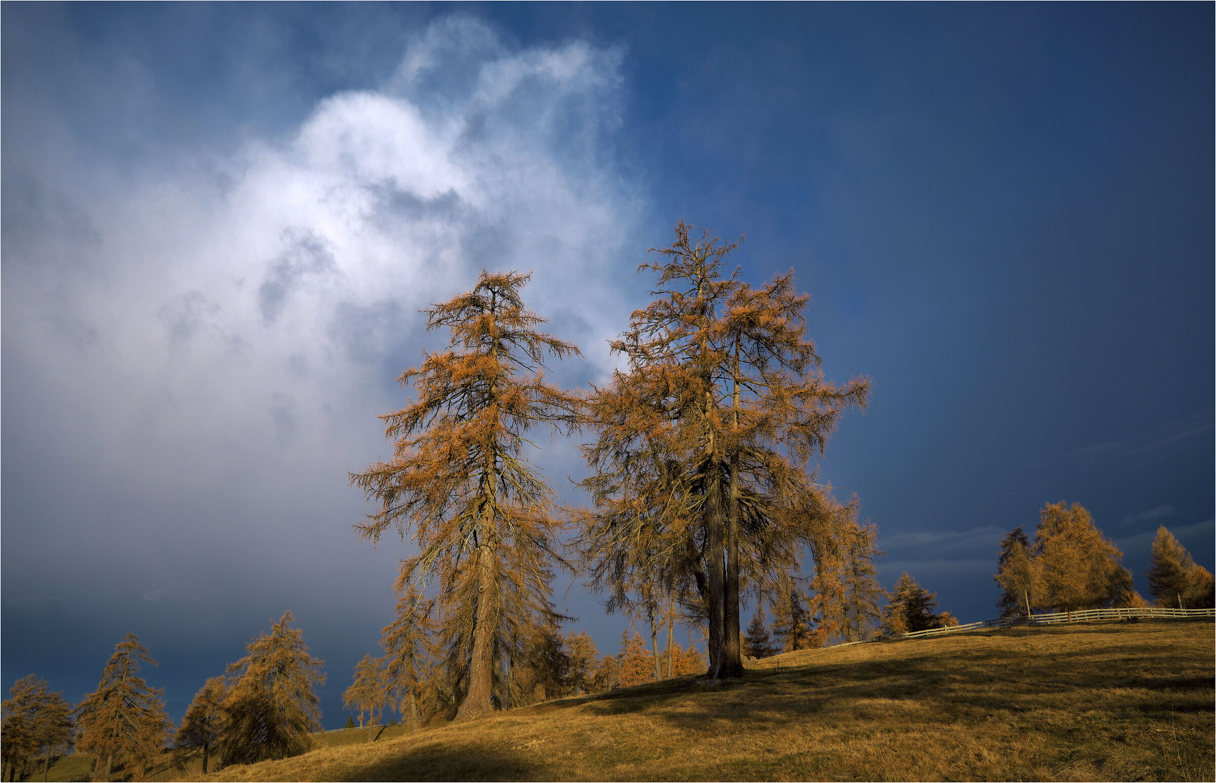 -Verso la fine del Autunno-