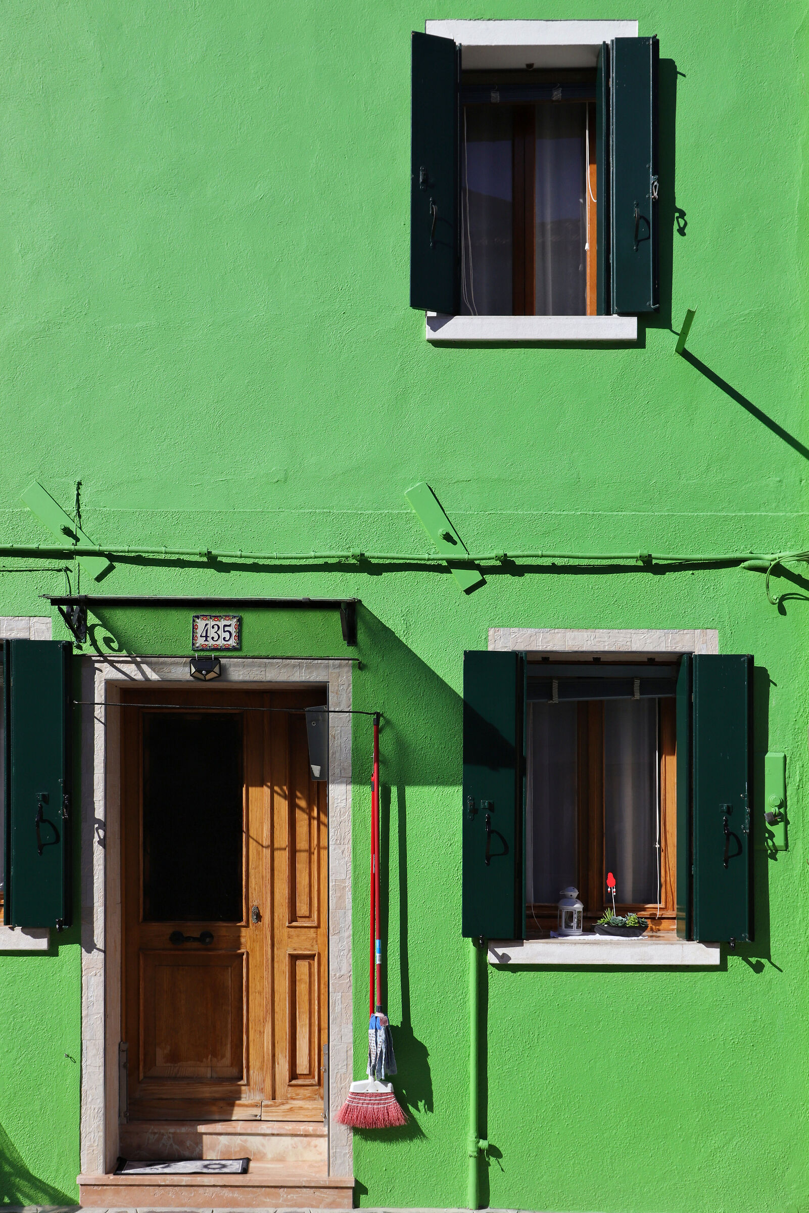 Dominante in verde
