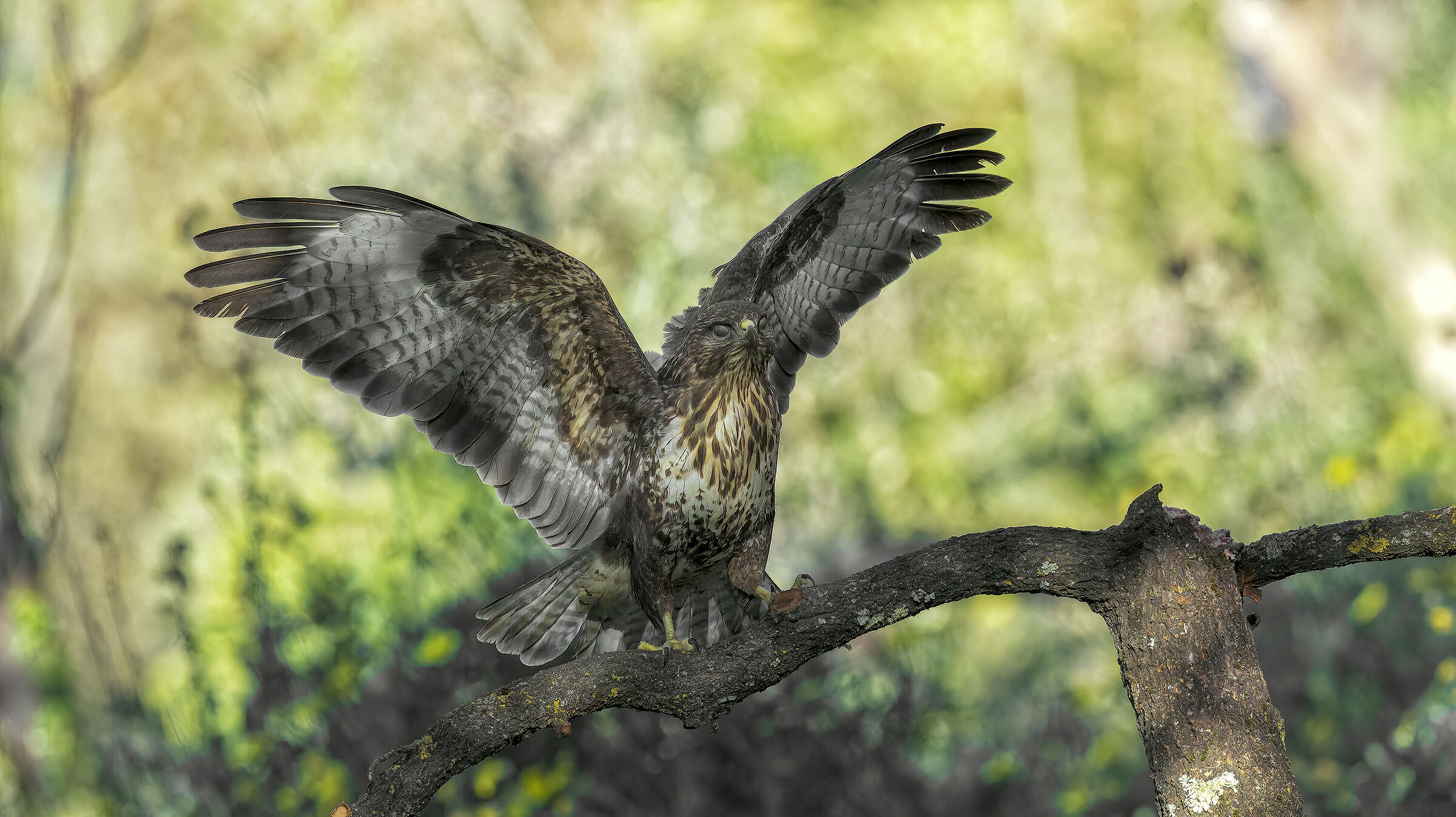 Capannino del Magomaghetto