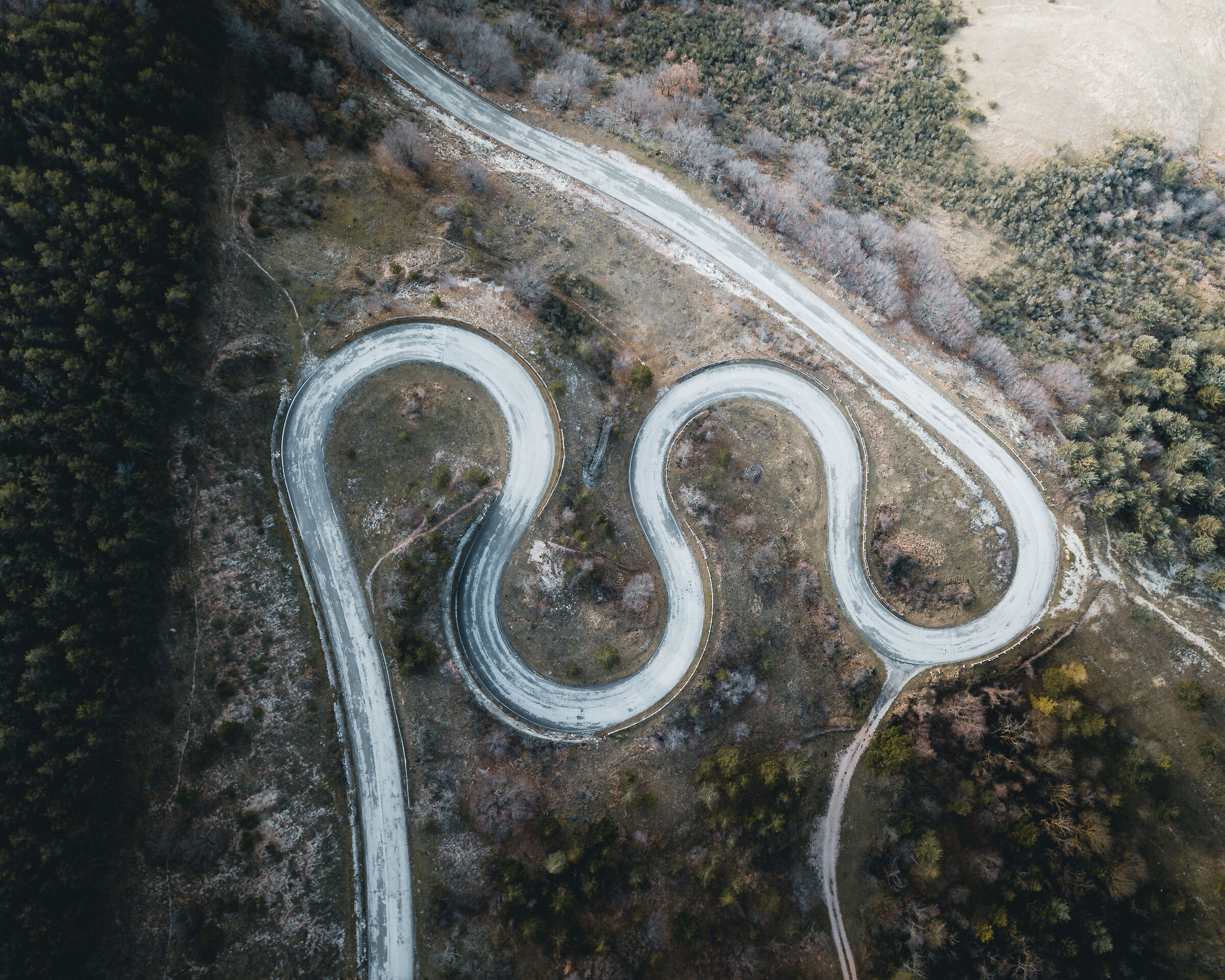 Fotografia o disegno?