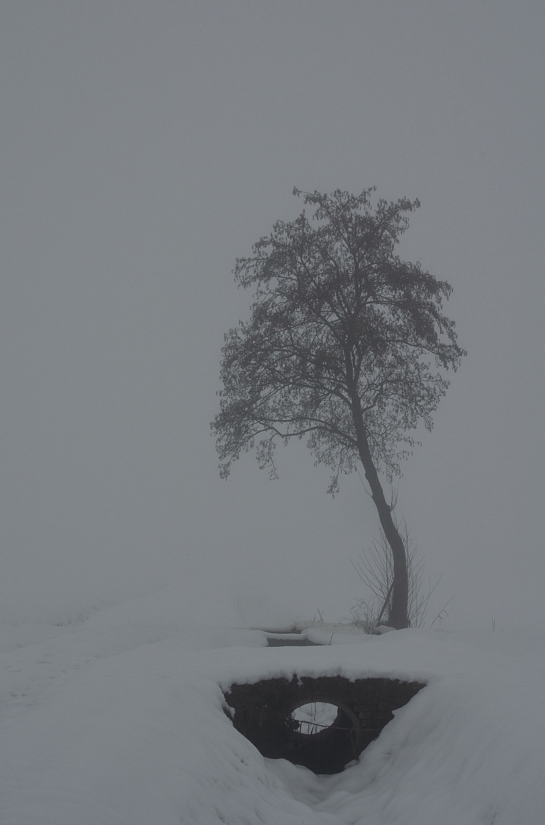 caldo soffocante.....senzazione di freschezza