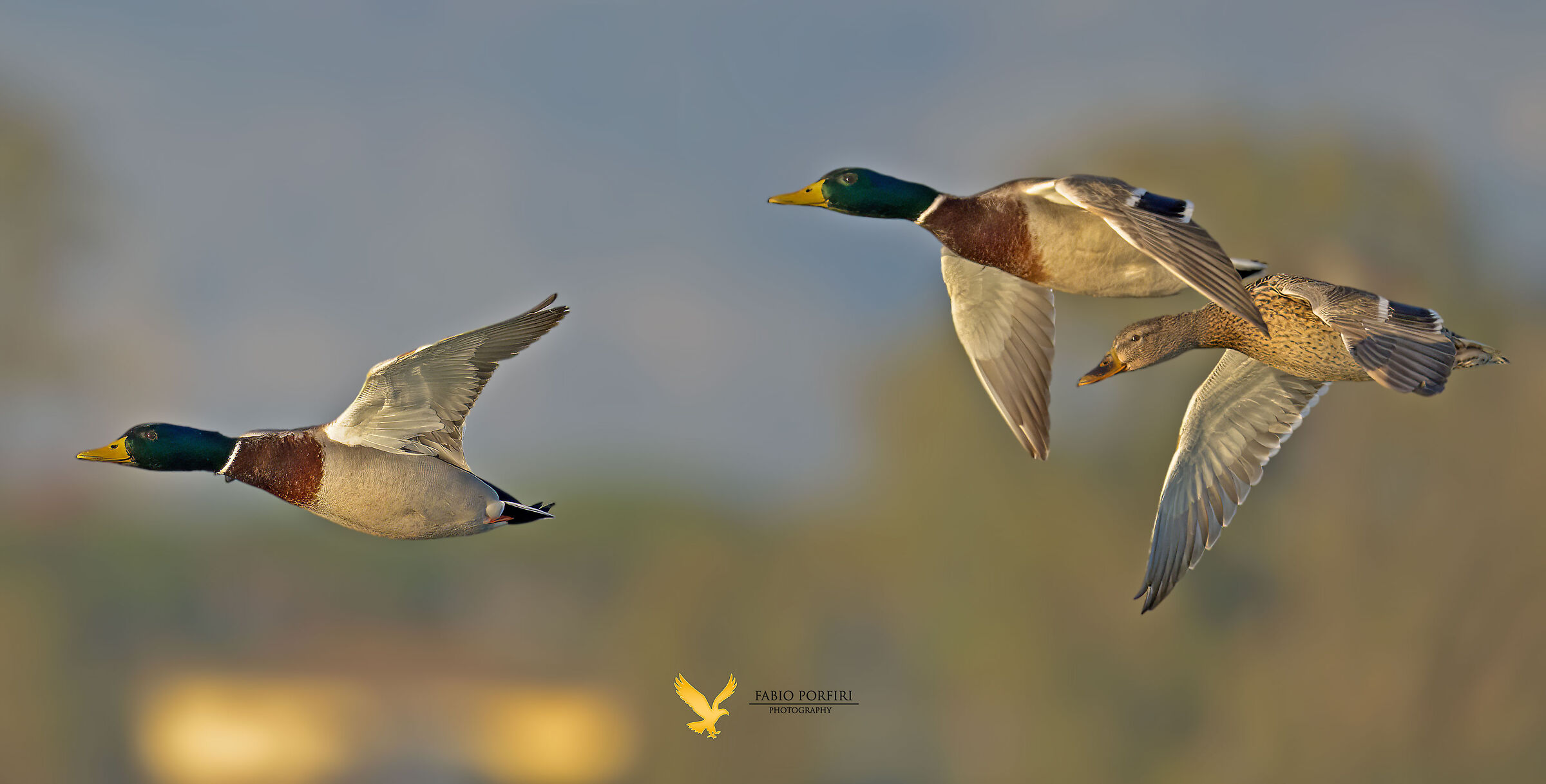 Quando la luce fa la differenza
