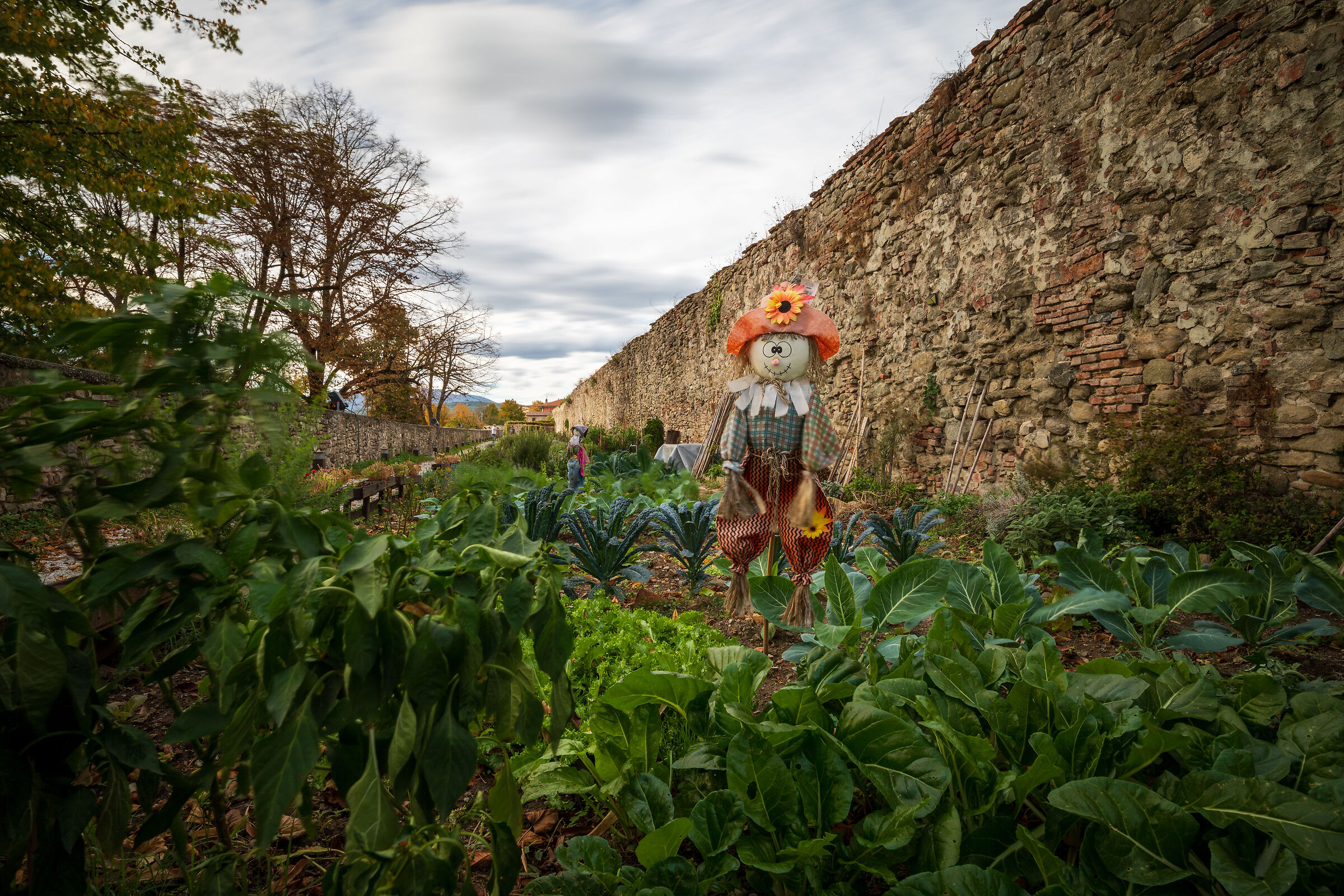 The scarecrow