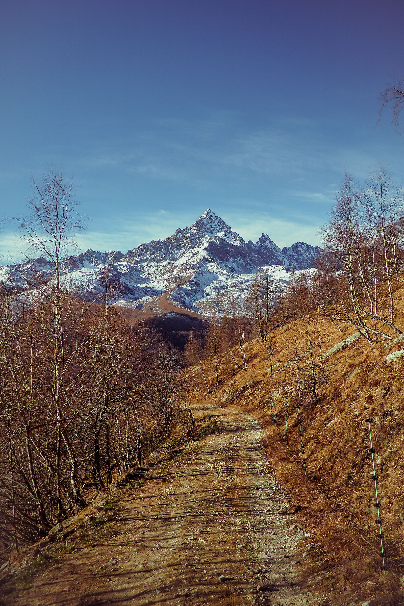 Mountain roads