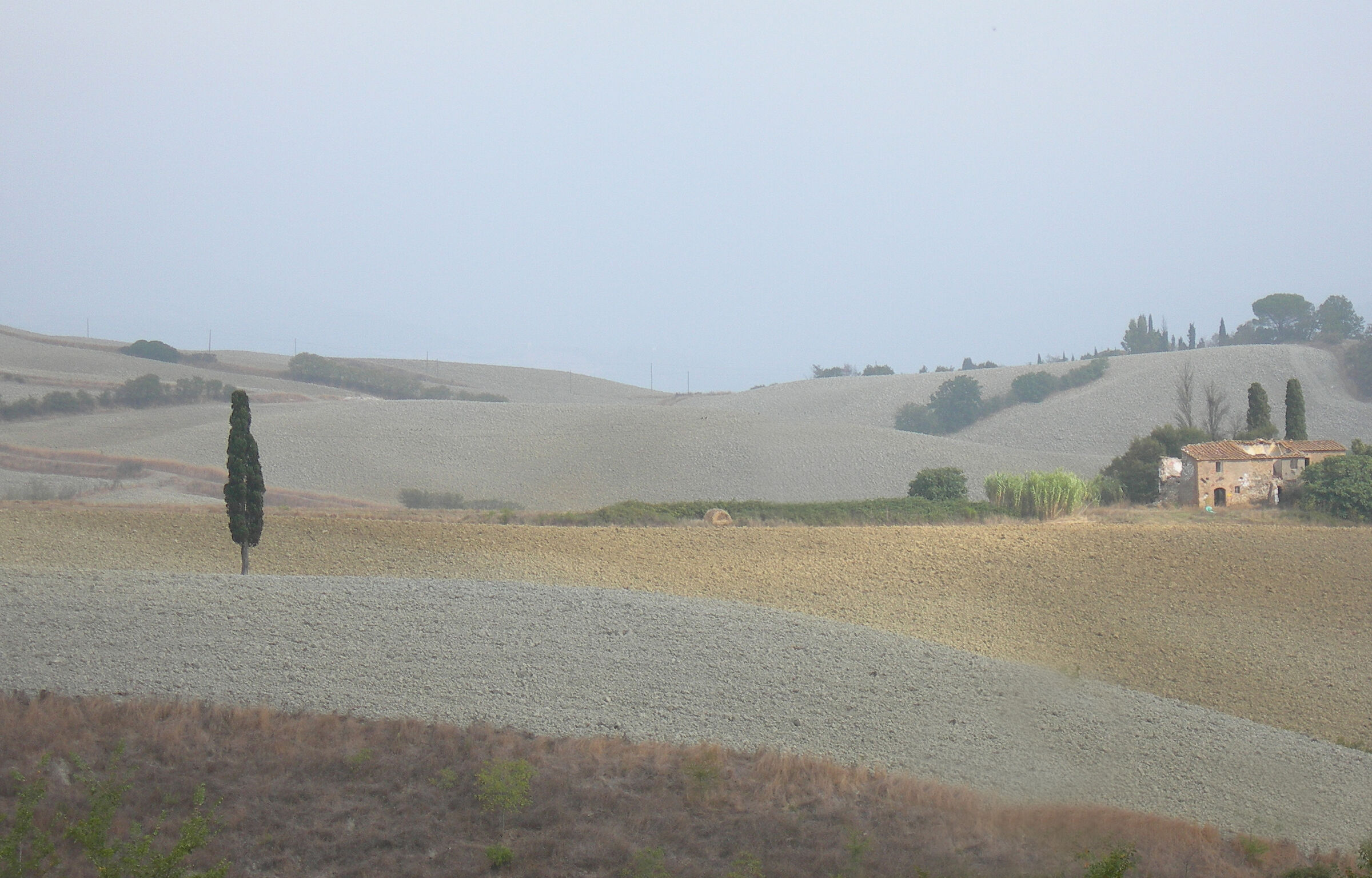 maremma