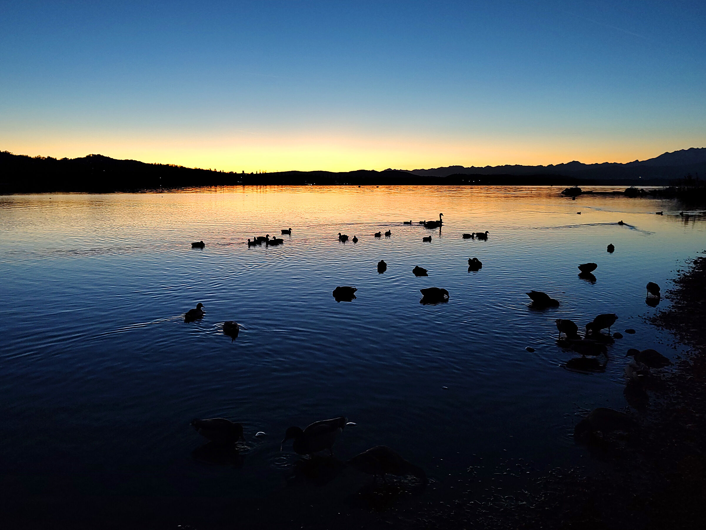 At nightfall...