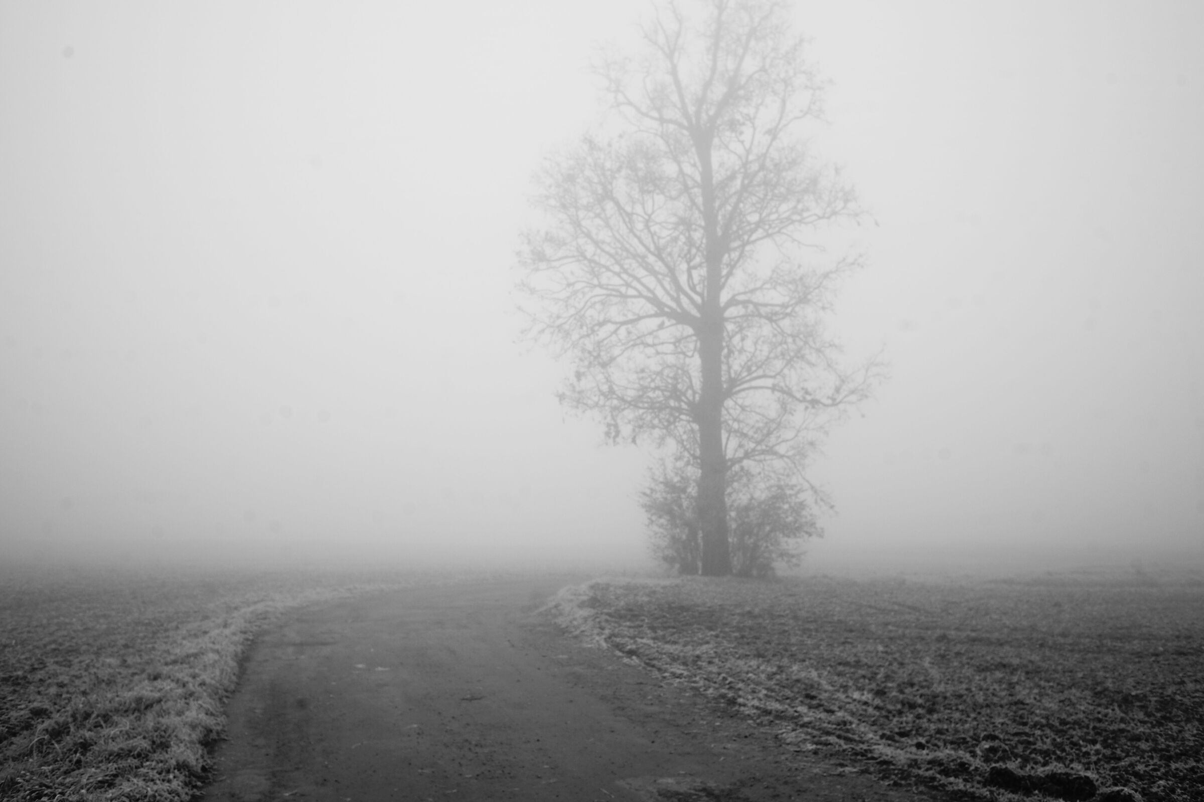 questa è la mia casa, la casa dov'è