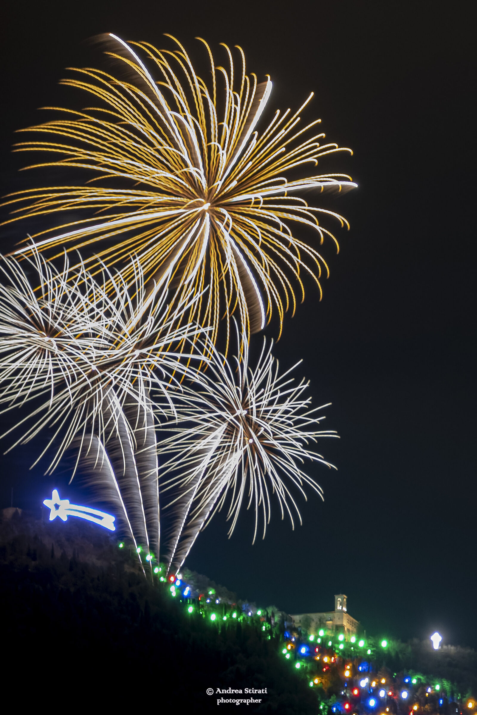 Lighting of the world's largest Christmas tree