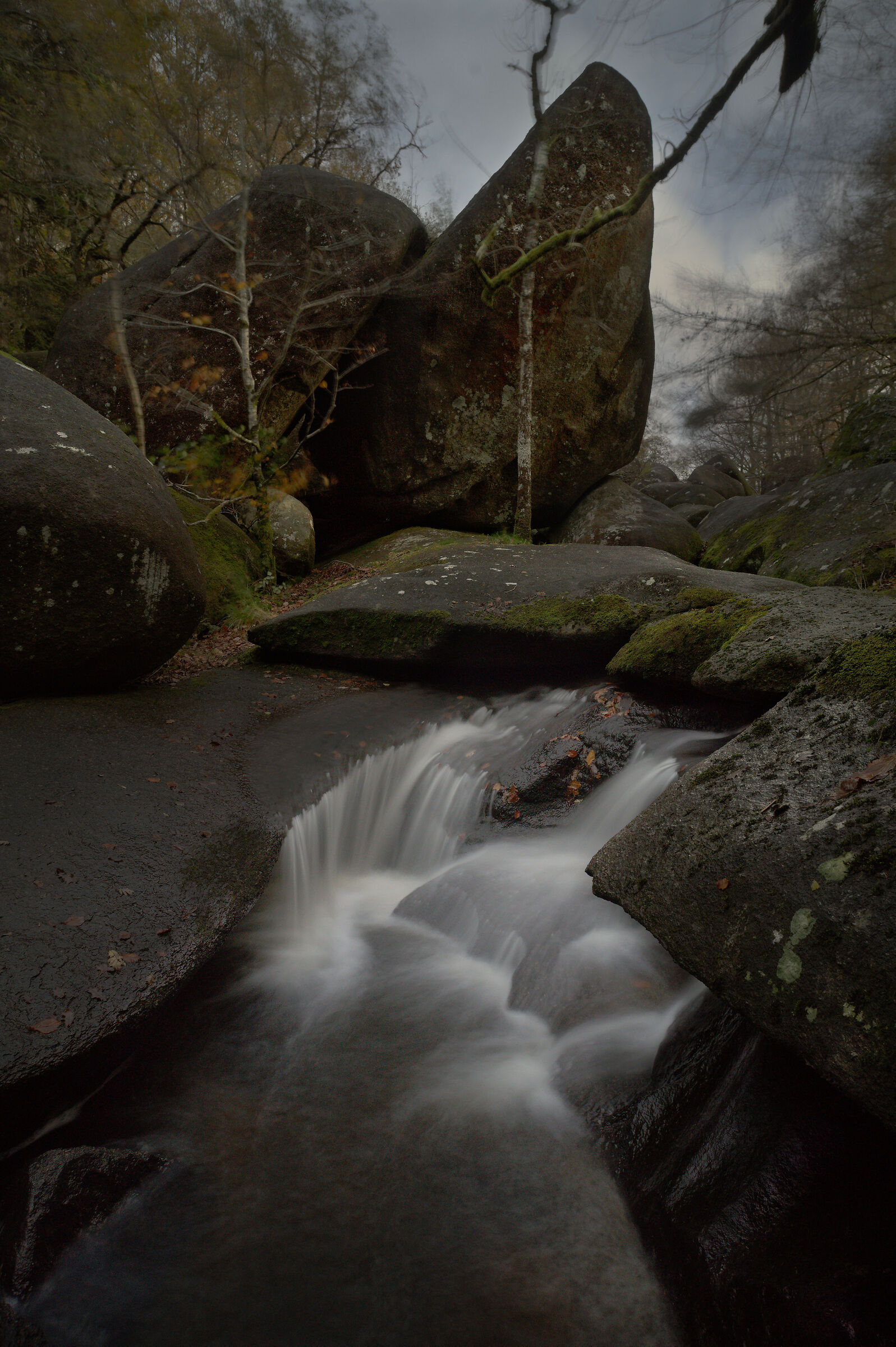 Yashica 21mm + Sony A7IV