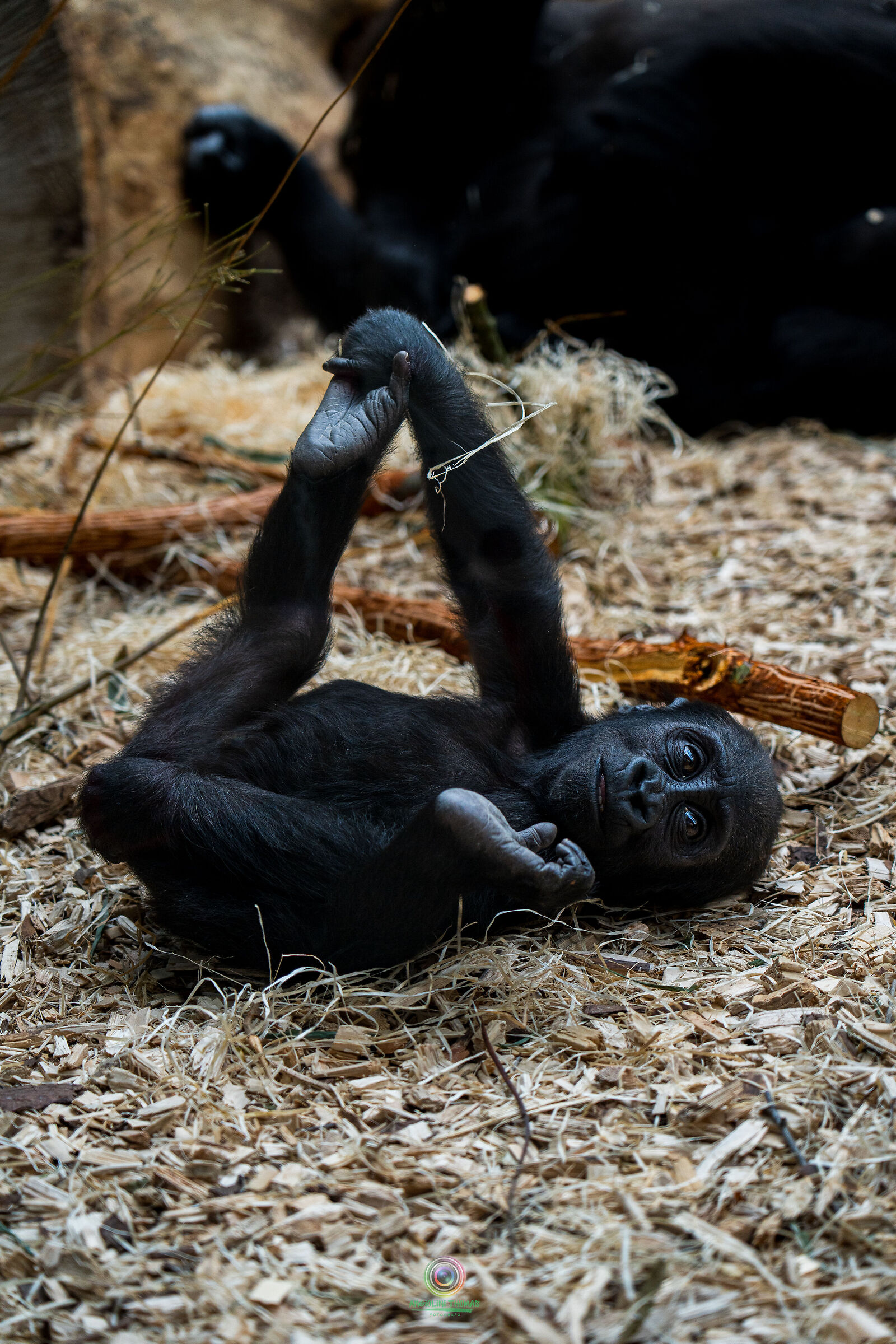 Praha zoo