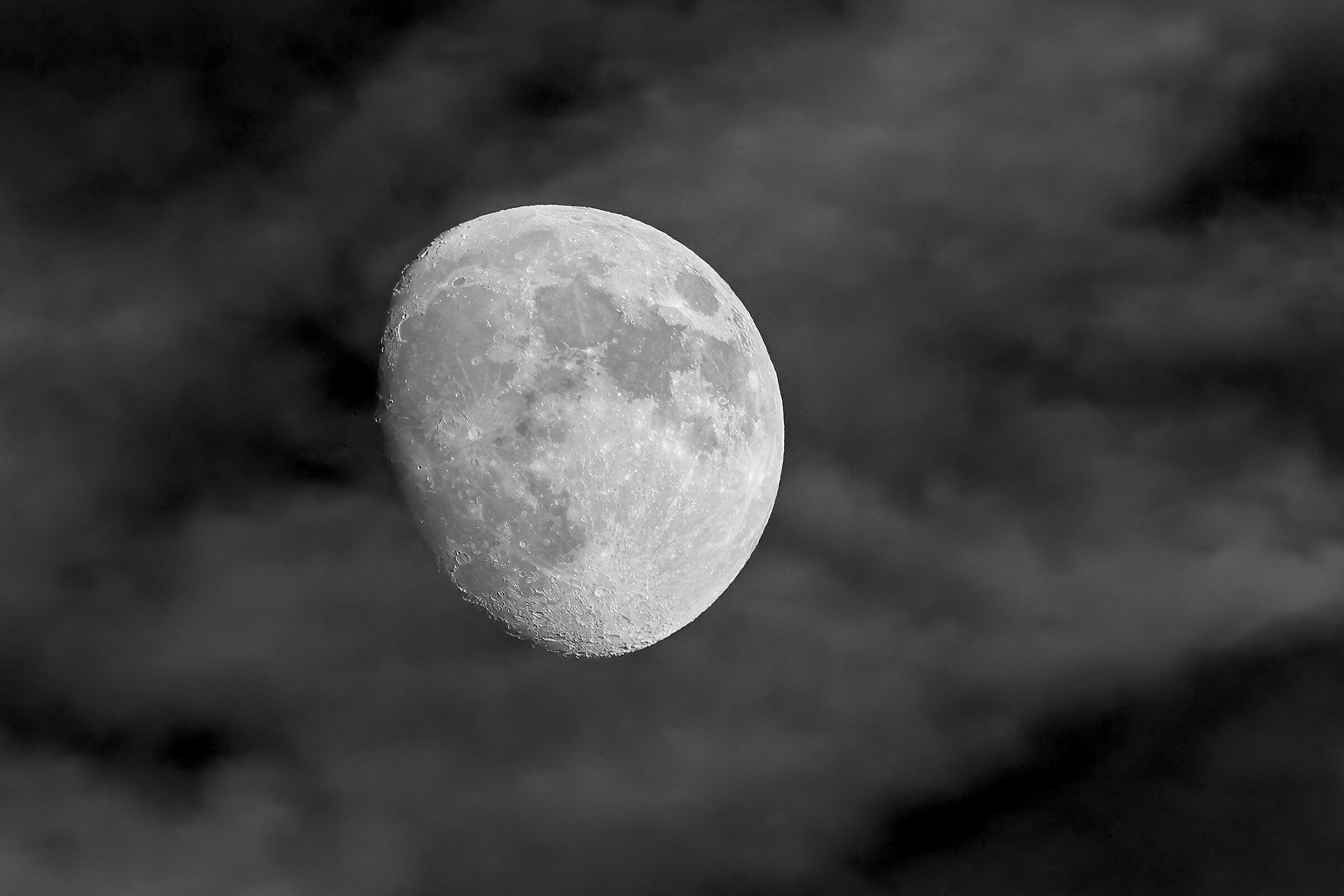Lunaaa... !
