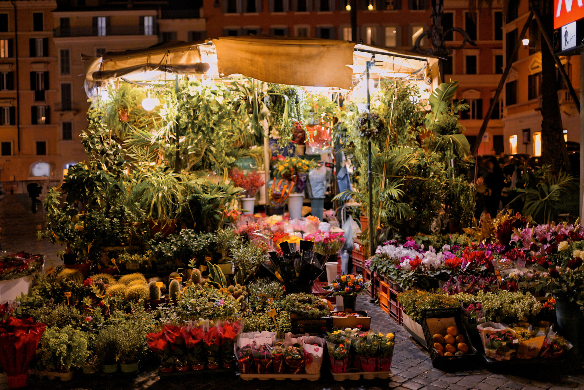 Piazza di Spagna
