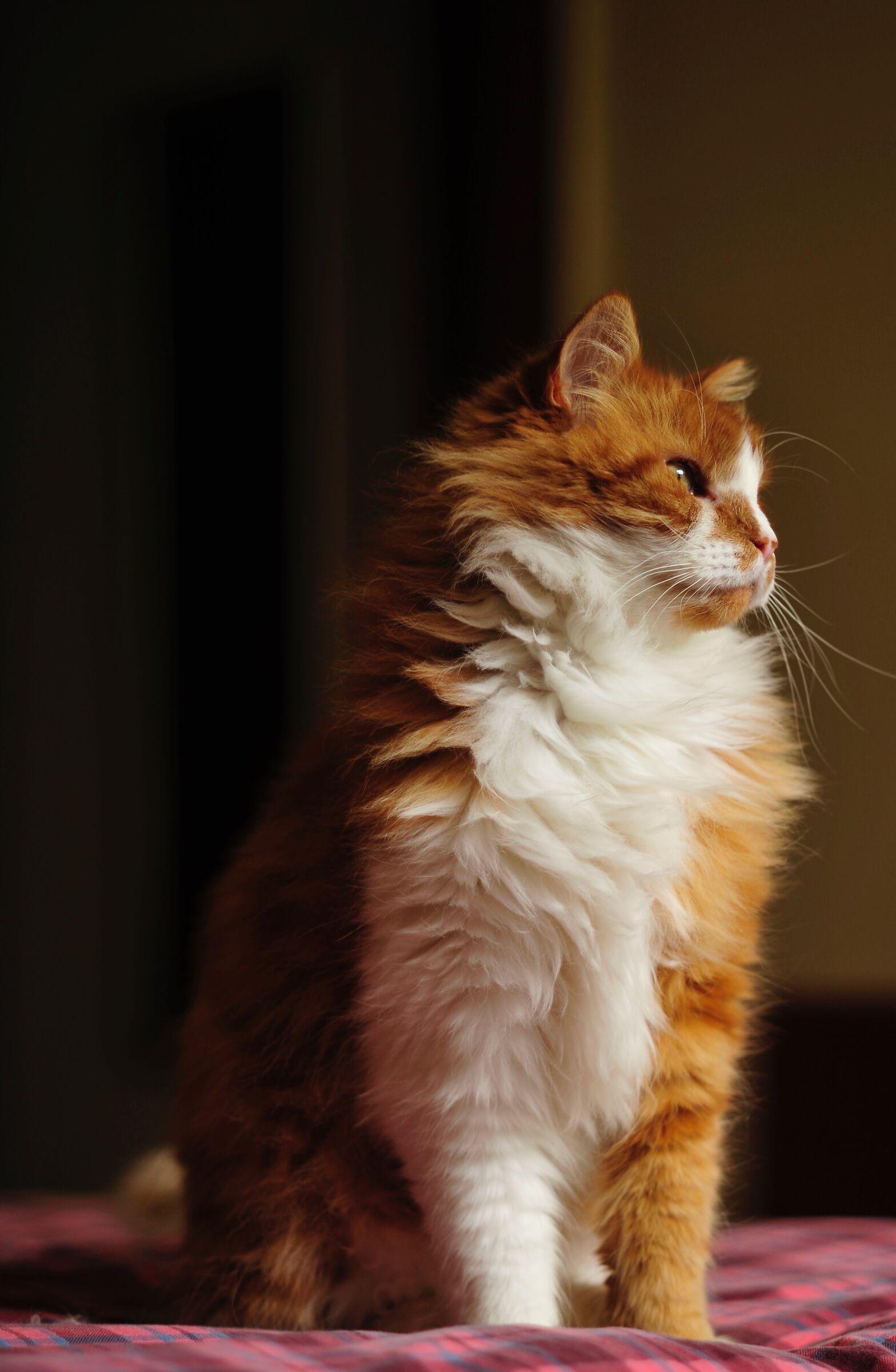 After work_Come sto?