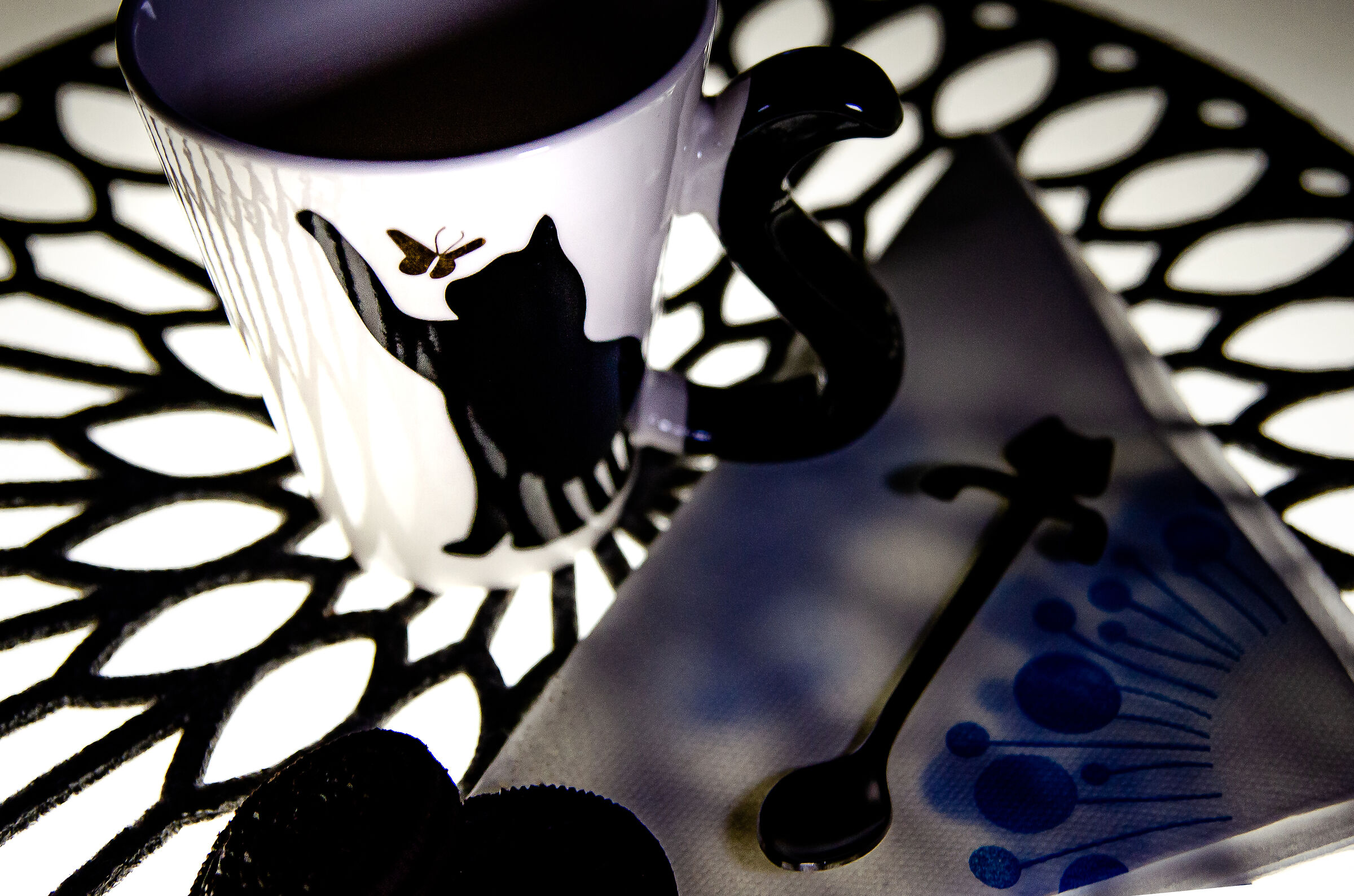 Noi gattofili .........