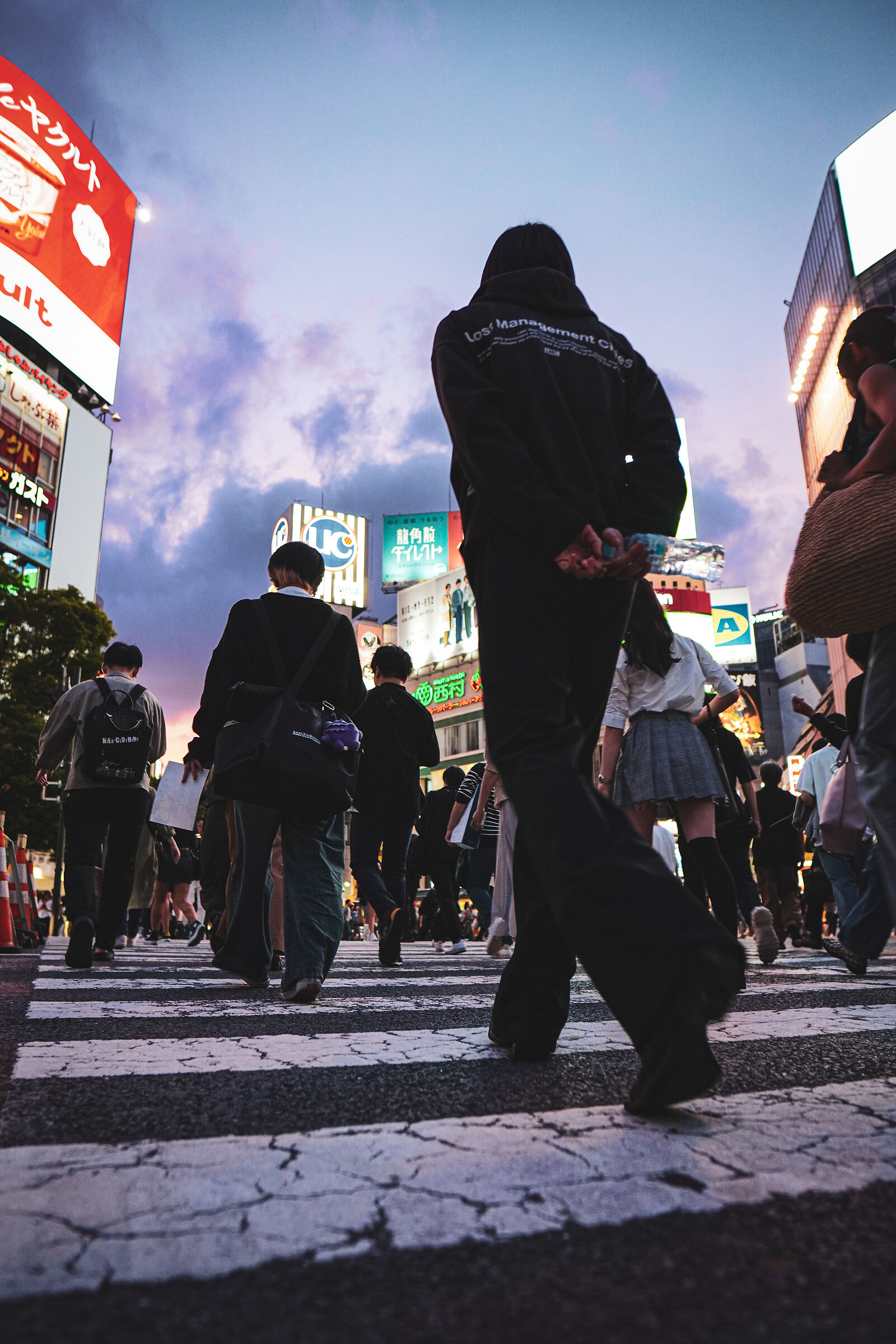Shibuya crossing