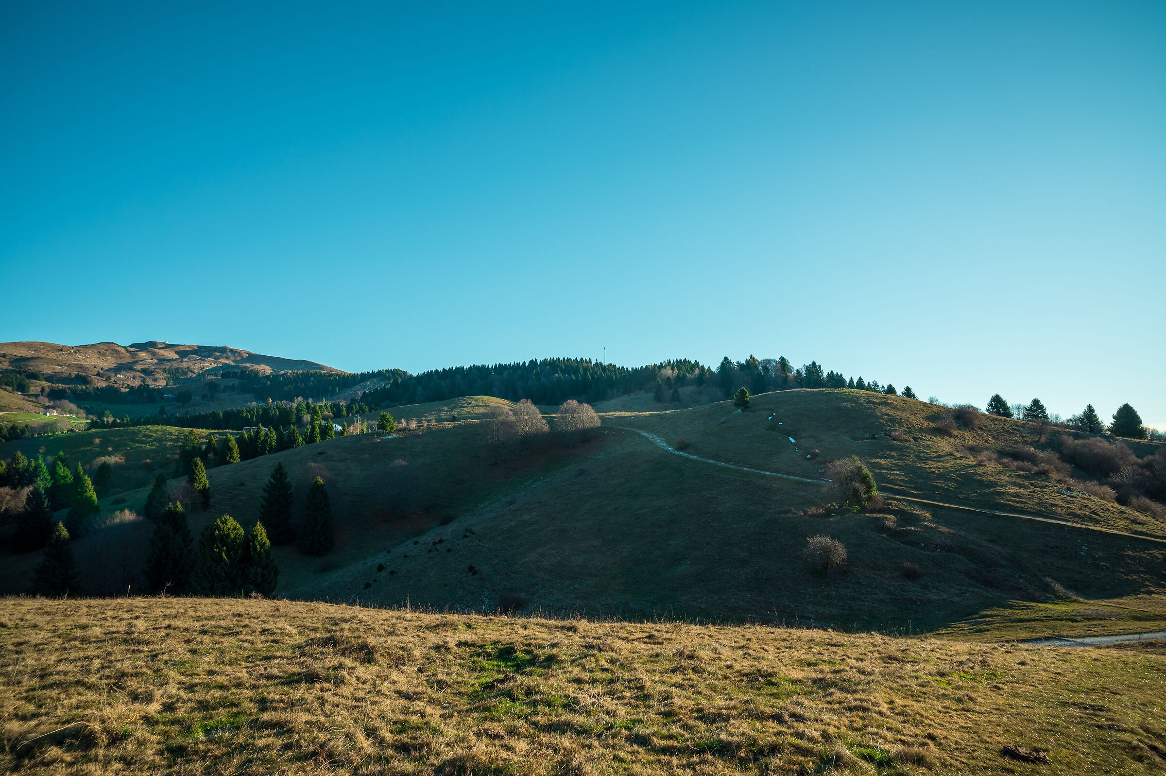 Monte Oro