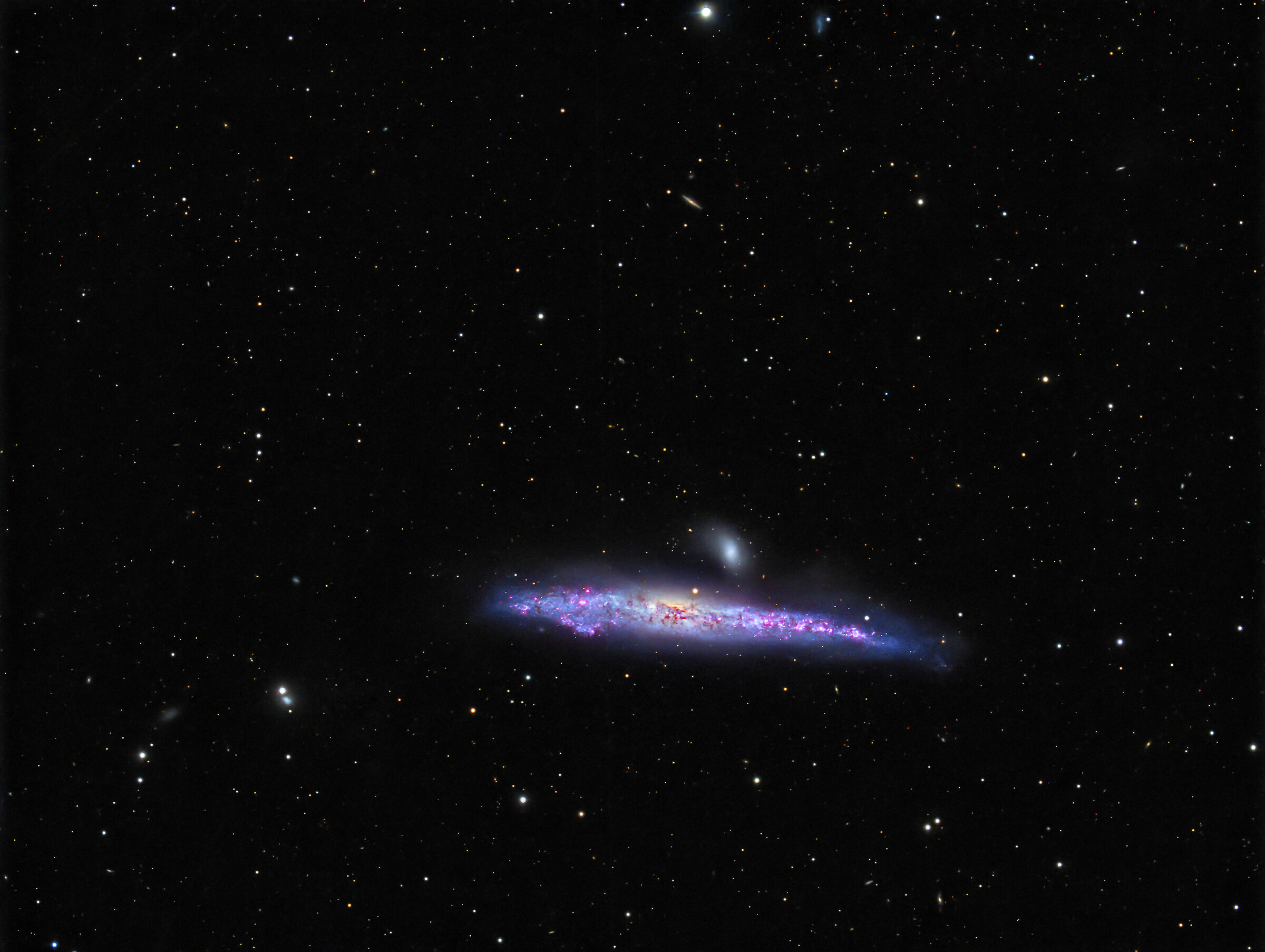 ngc4631 Whale Galaxy