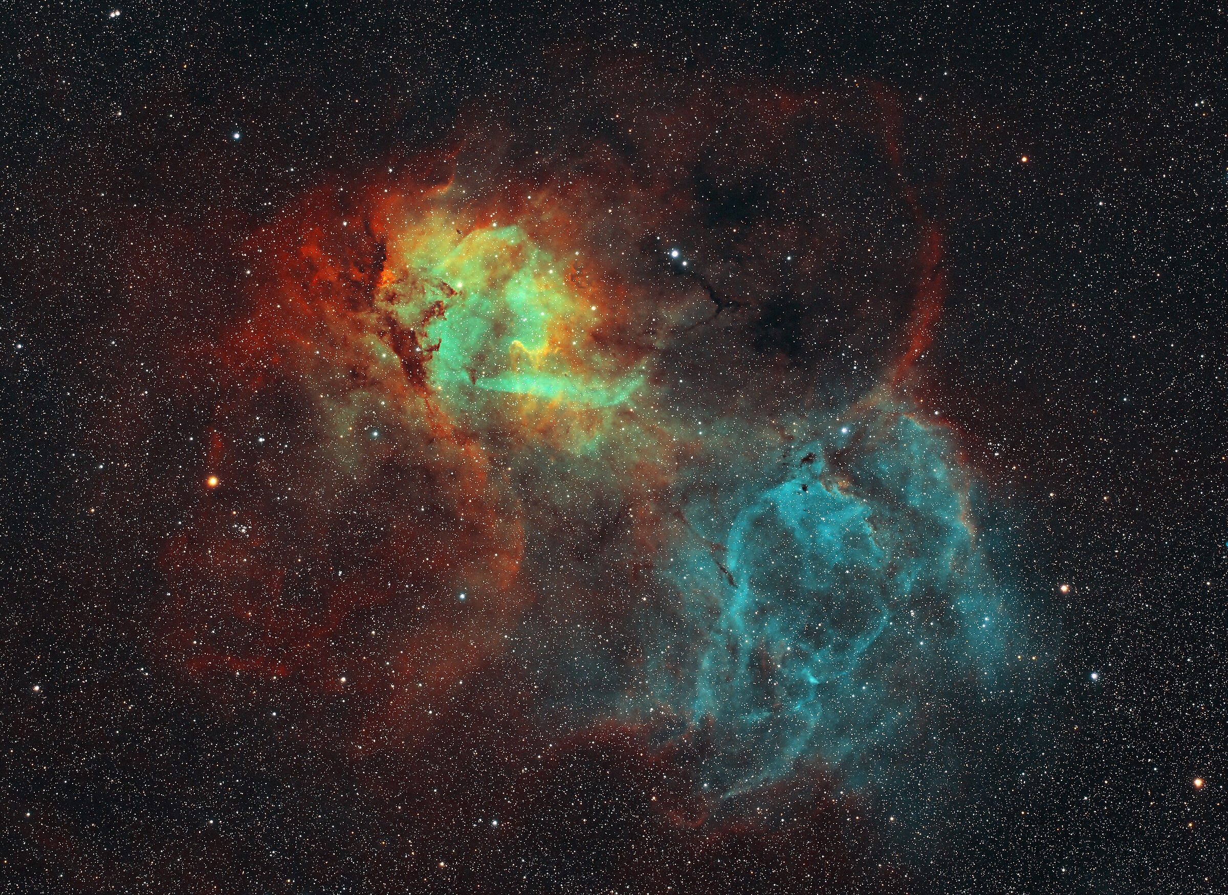 Lion Nebula