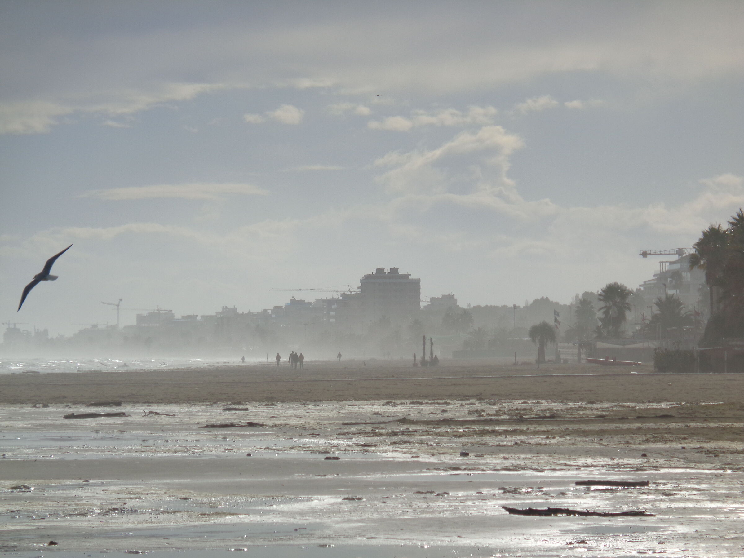 Litorale San Benedetto del Tronto