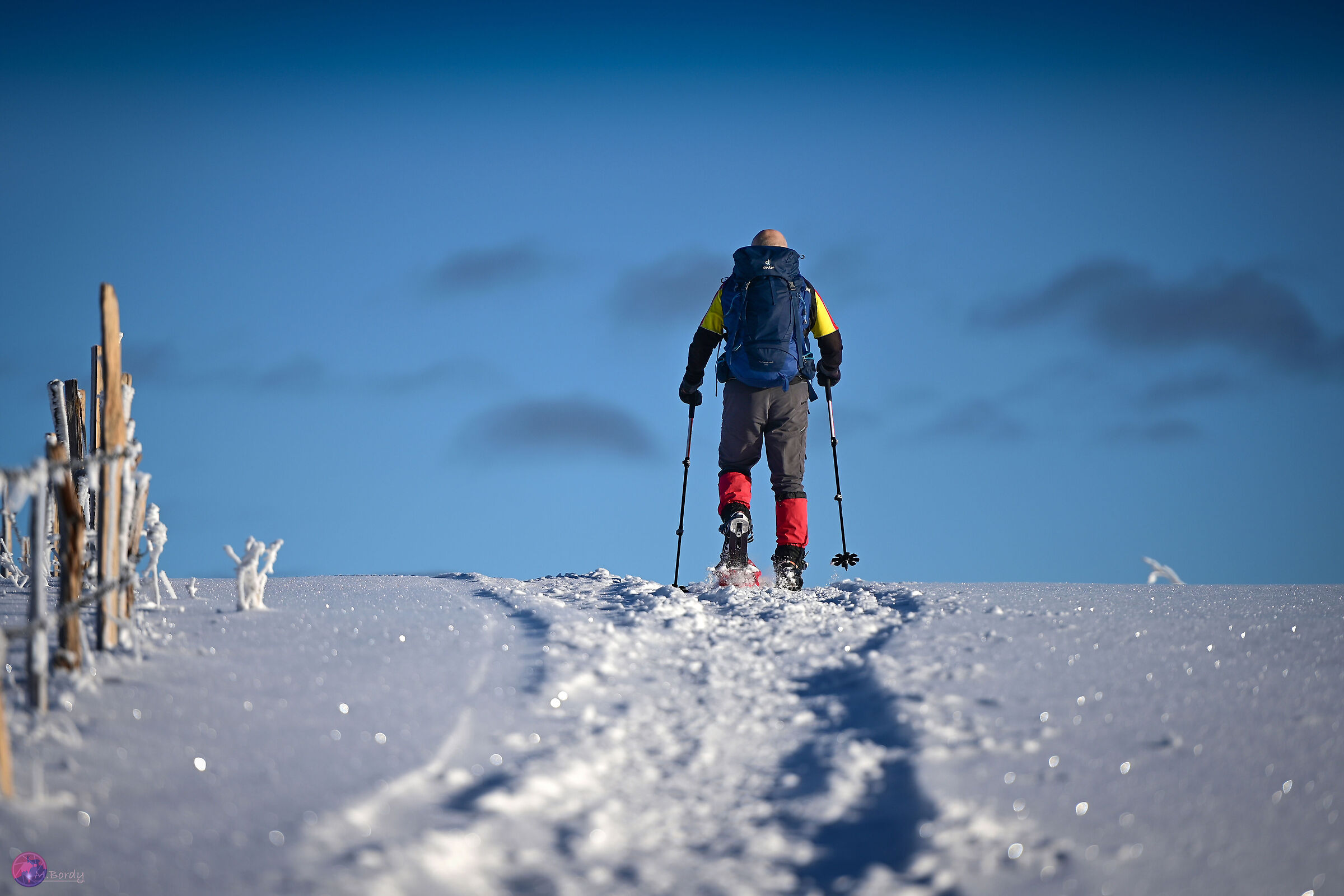 Following the fences