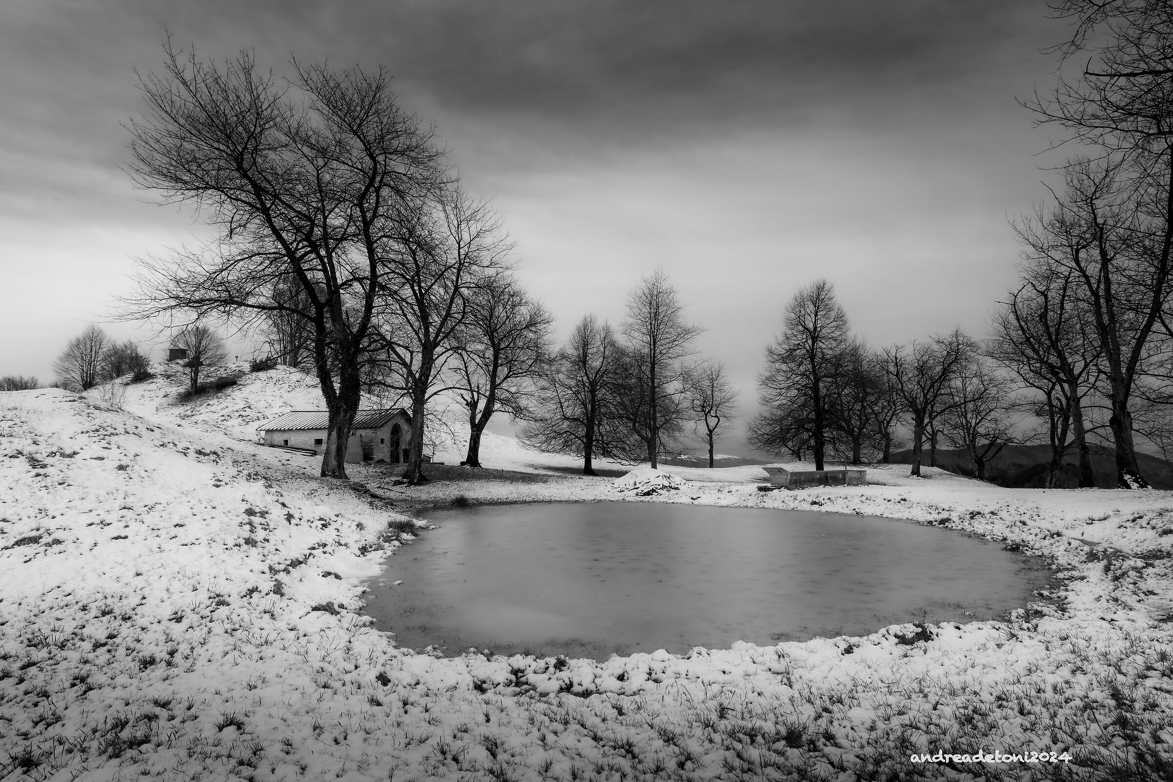 ...è arrivata la neve !