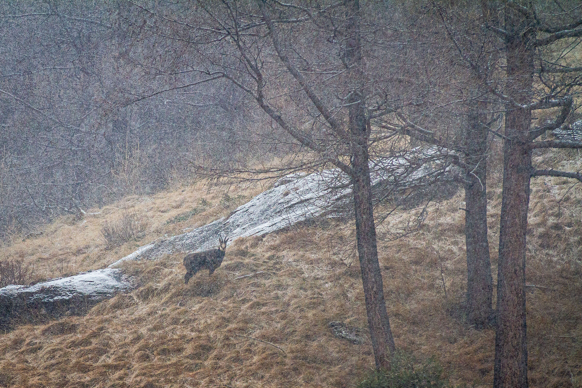 In giro solo io e lui